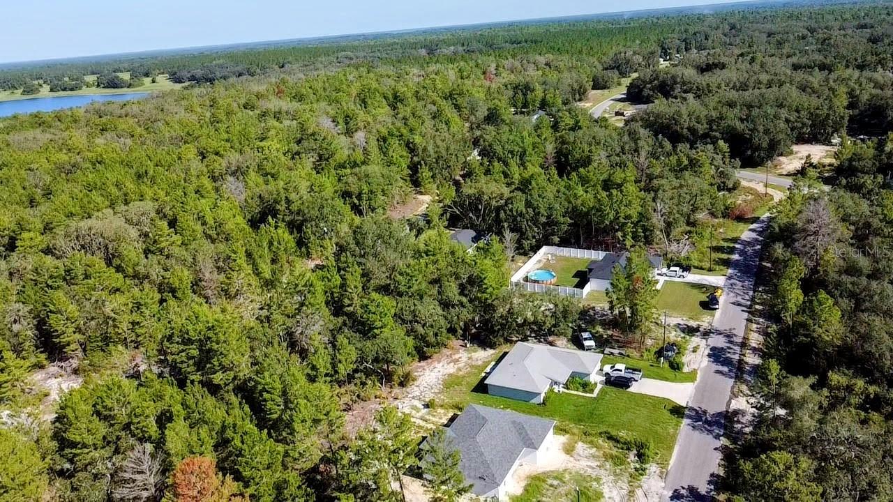 0 MALAUKA PASS, OCKLAWAHA, FL — photo 7