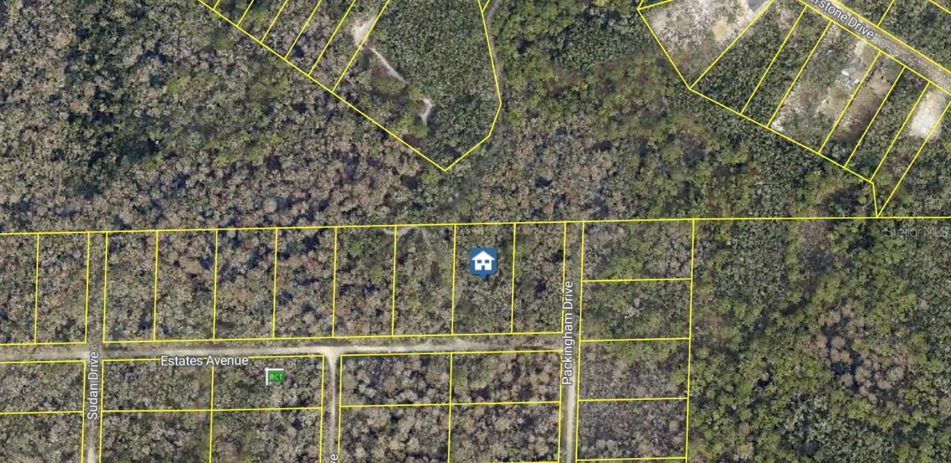 ROSE BLOOM AVE, WEBSTER, FL — photo 3