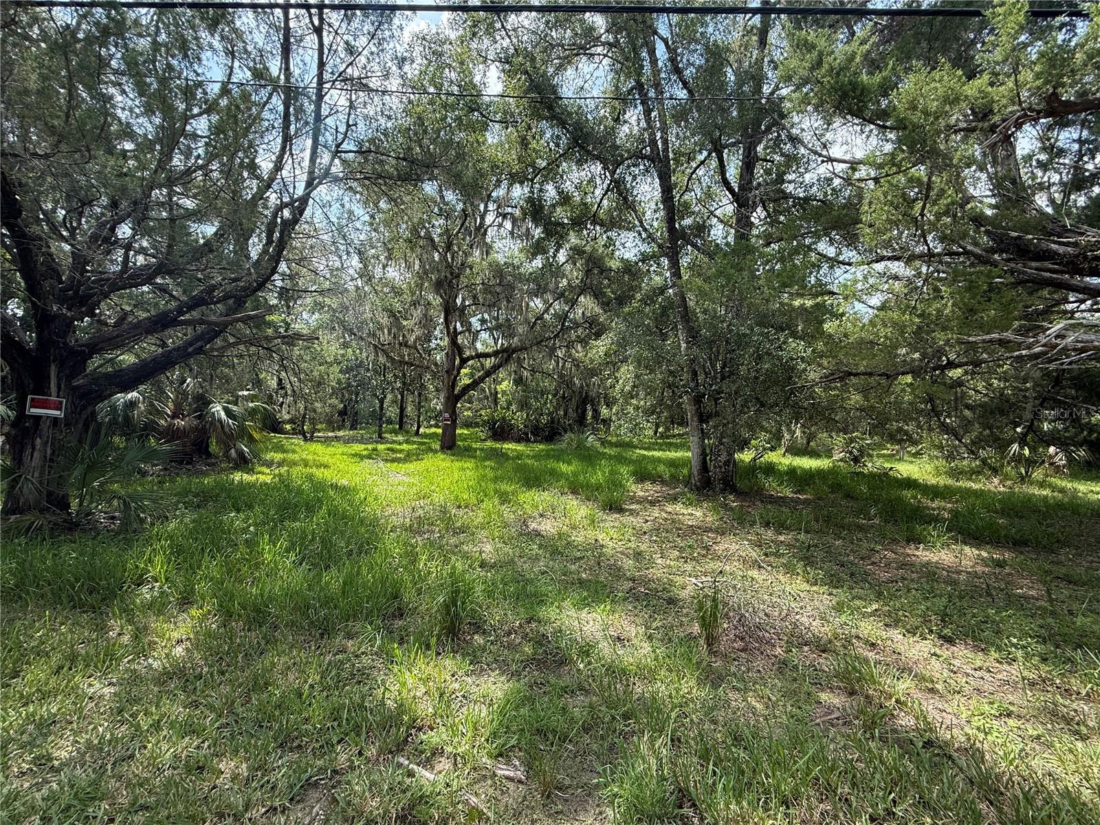 11990 W ELDRED LN, HOMOSASSA, FL — photo 2