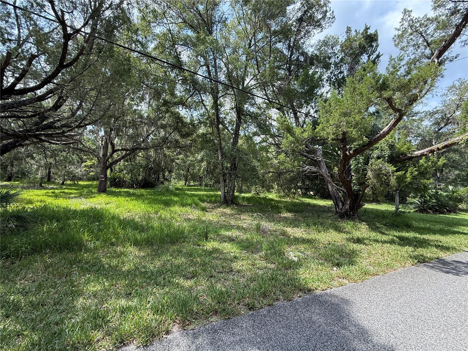 11990 W ELDRED LN, HOMOSASSA, FL — photo 3