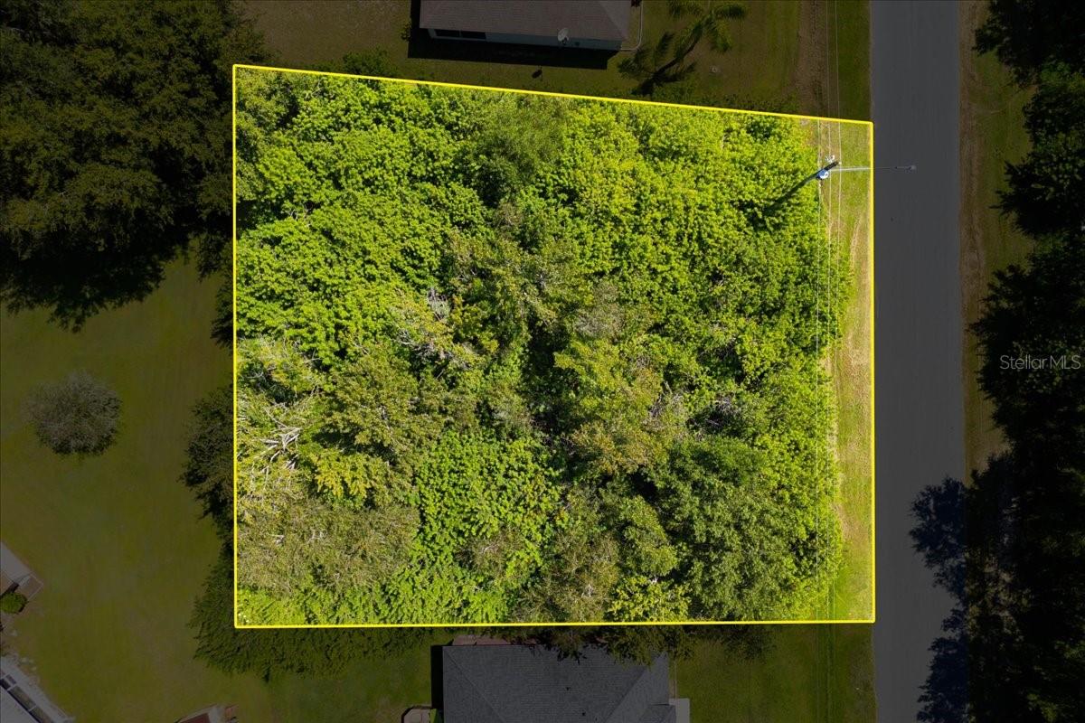 0 CANNES DR, KISSIMMEE, FL — photo 8