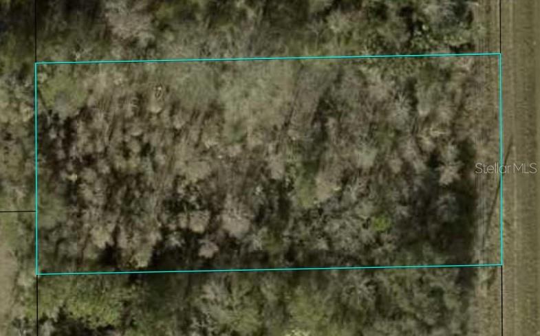 1366 COUNTY ROAD 305, BUNNELL, FL
