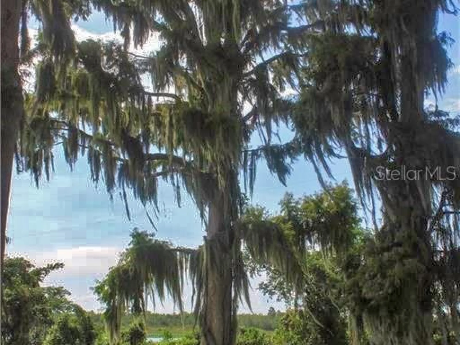 0 JENNINGS FISH CAMP RD, LAKE WALES, FL — photo 12