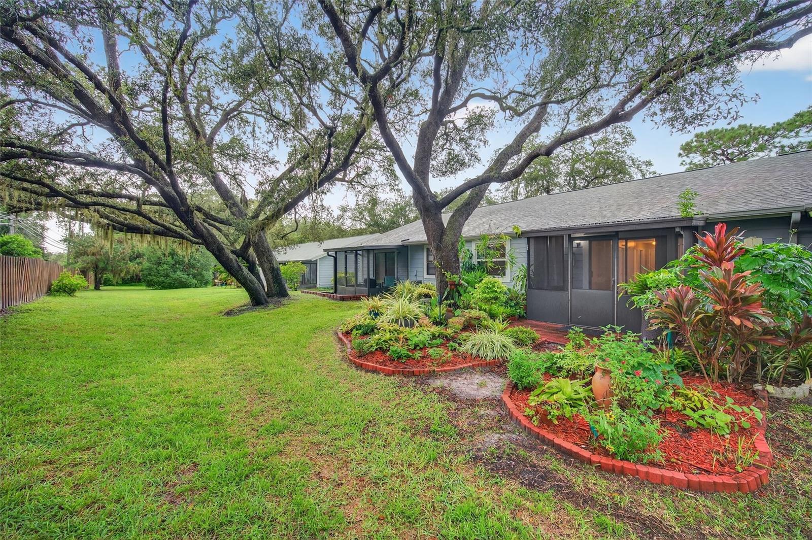 39650 US HIGHWAY 19 N #565, TARPON SPRINGS, FL — photo 56
