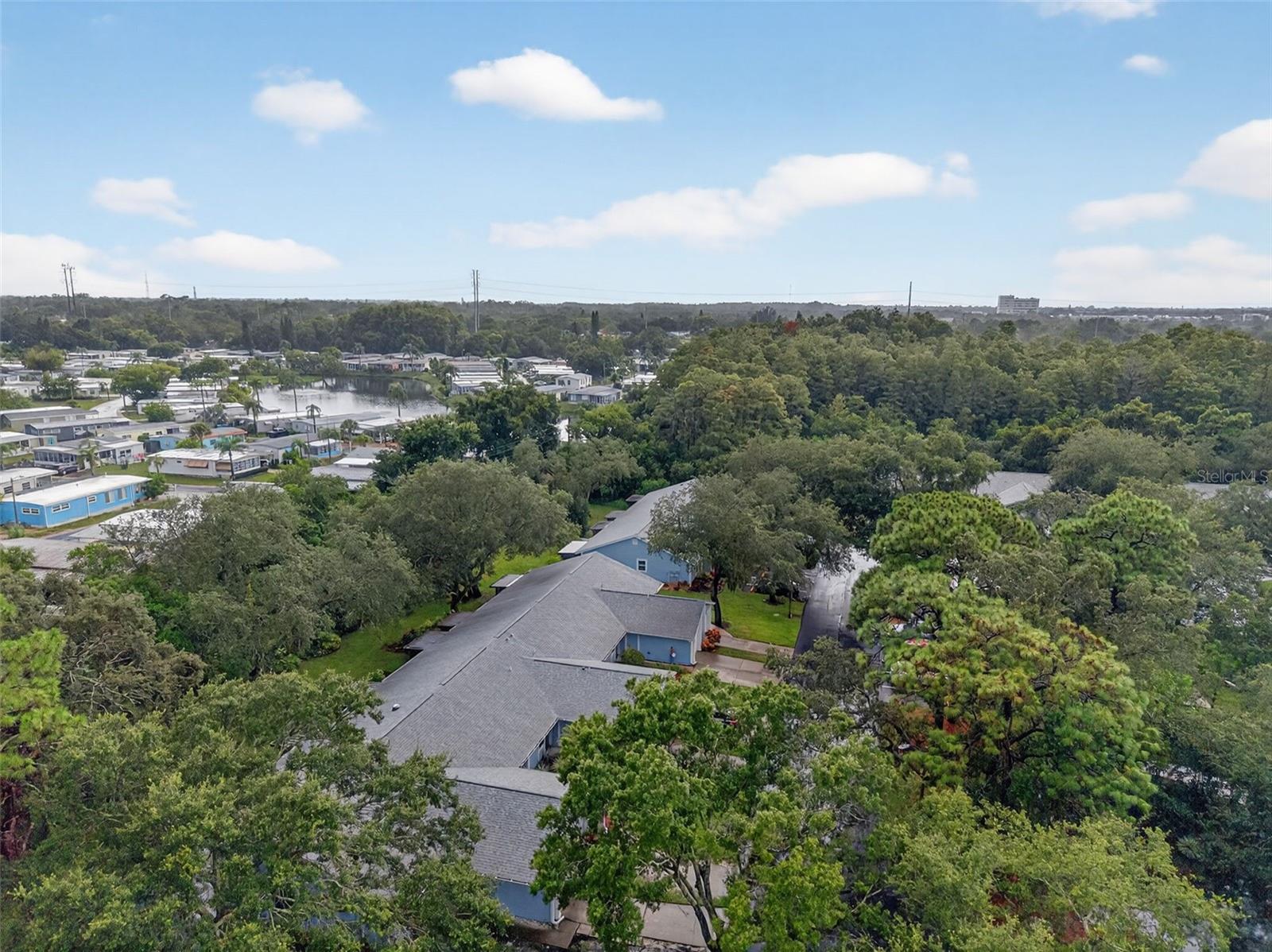 39650 US HIGHWAY 19 N #565, TARPON SPRINGS, FL — photo 59
