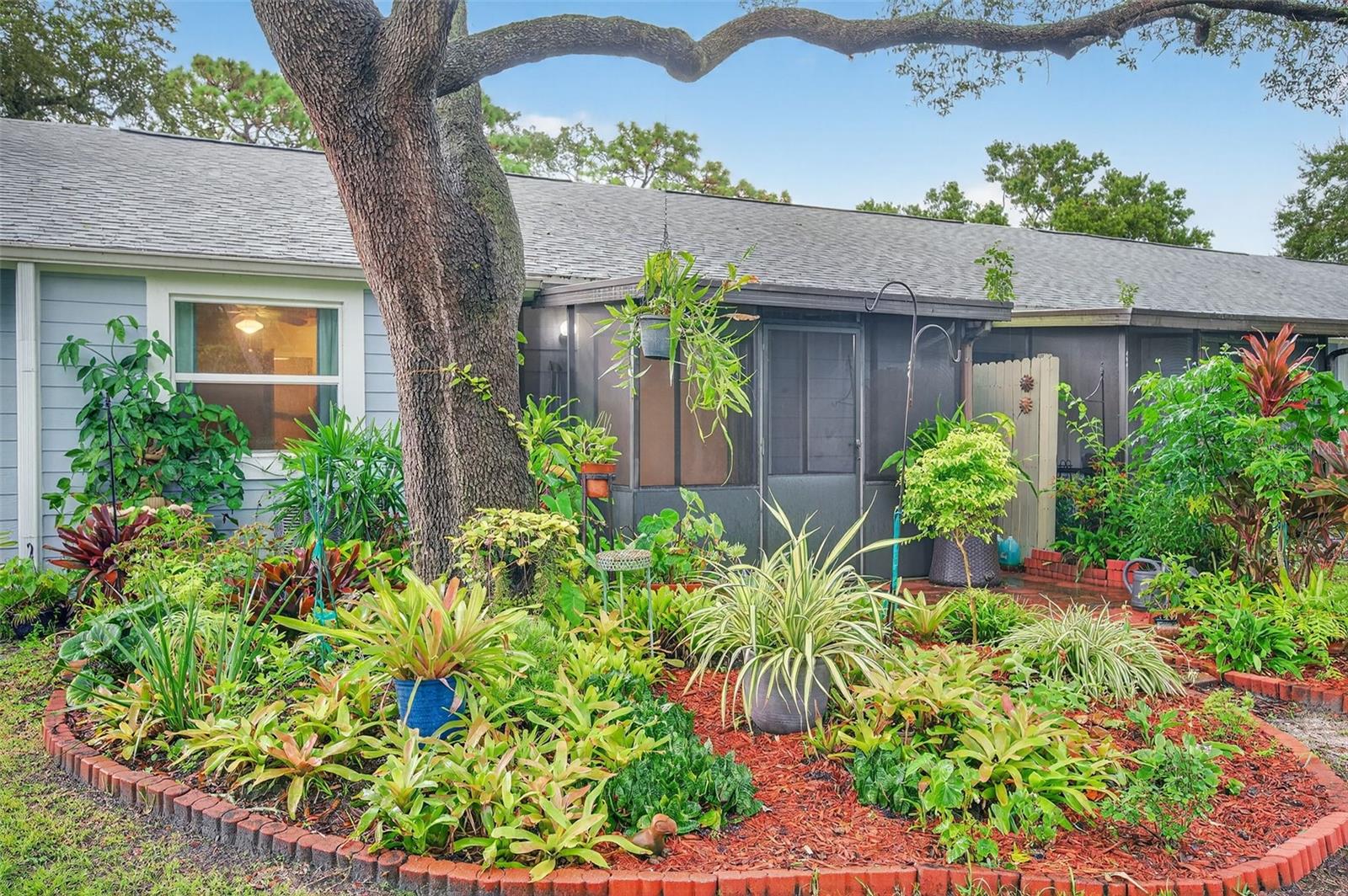39650 US HIGHWAY 19 N #565, TARPON SPRINGS, FL — photo 66