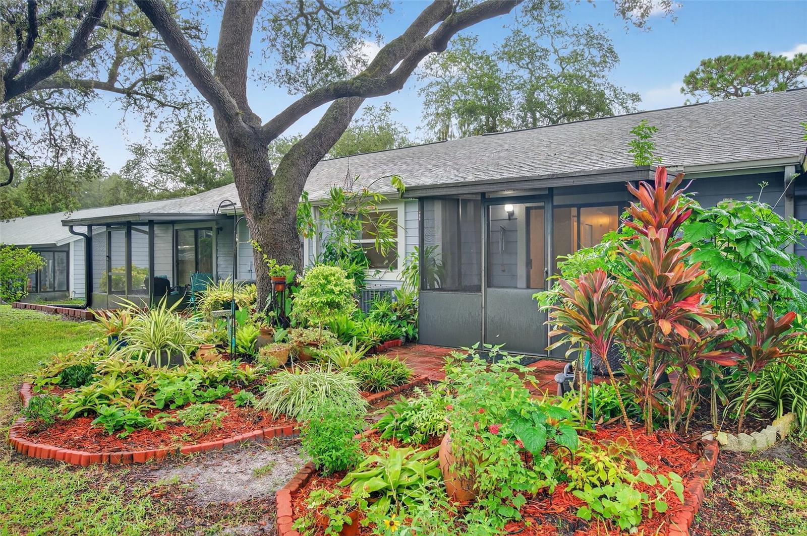 39650 US HIGHWAY 19 N #565, TARPON SPRINGS, FL — photo 67