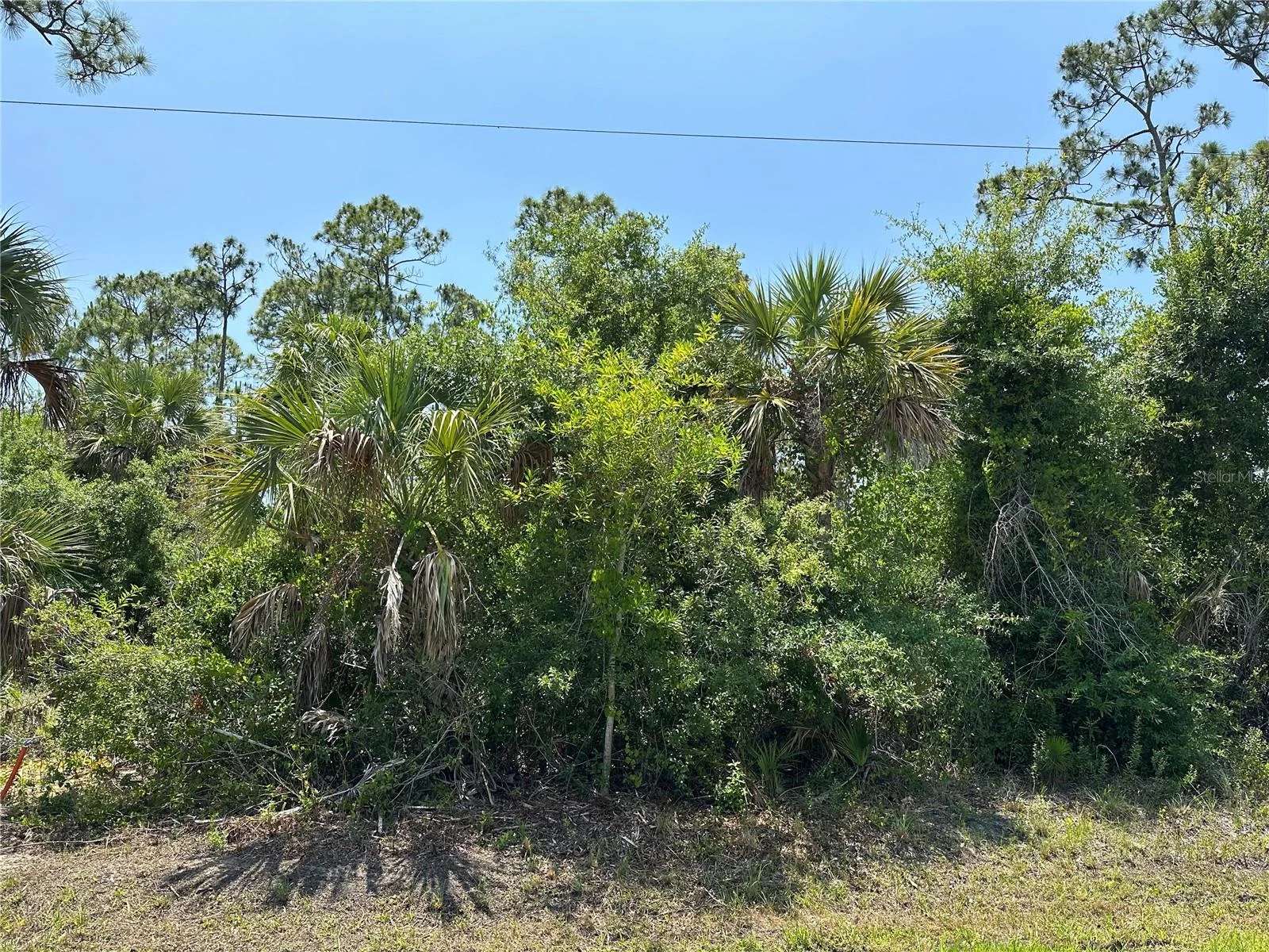 12091 GREEN GULF BLVD, PUNTA GORDA, FL — photo 2