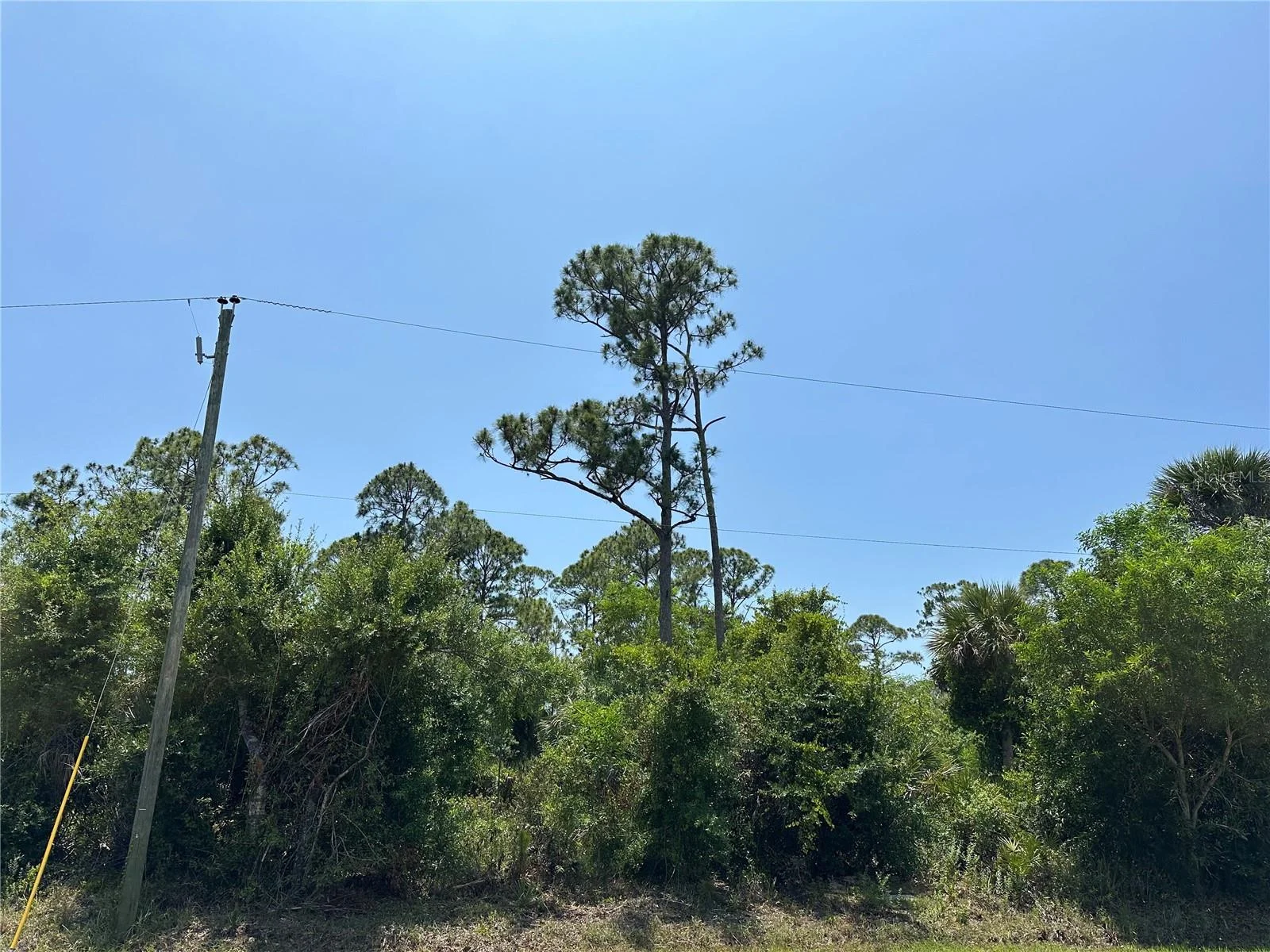12091 GREEN GULF BLVD, PUNTA GORDA, FL — photo 3