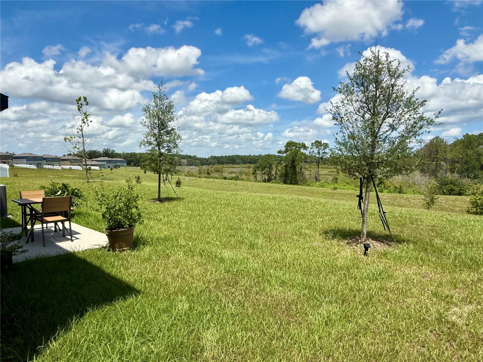 8704 SPORTSMAN LOOP, GROVELAND, FL — photo 65