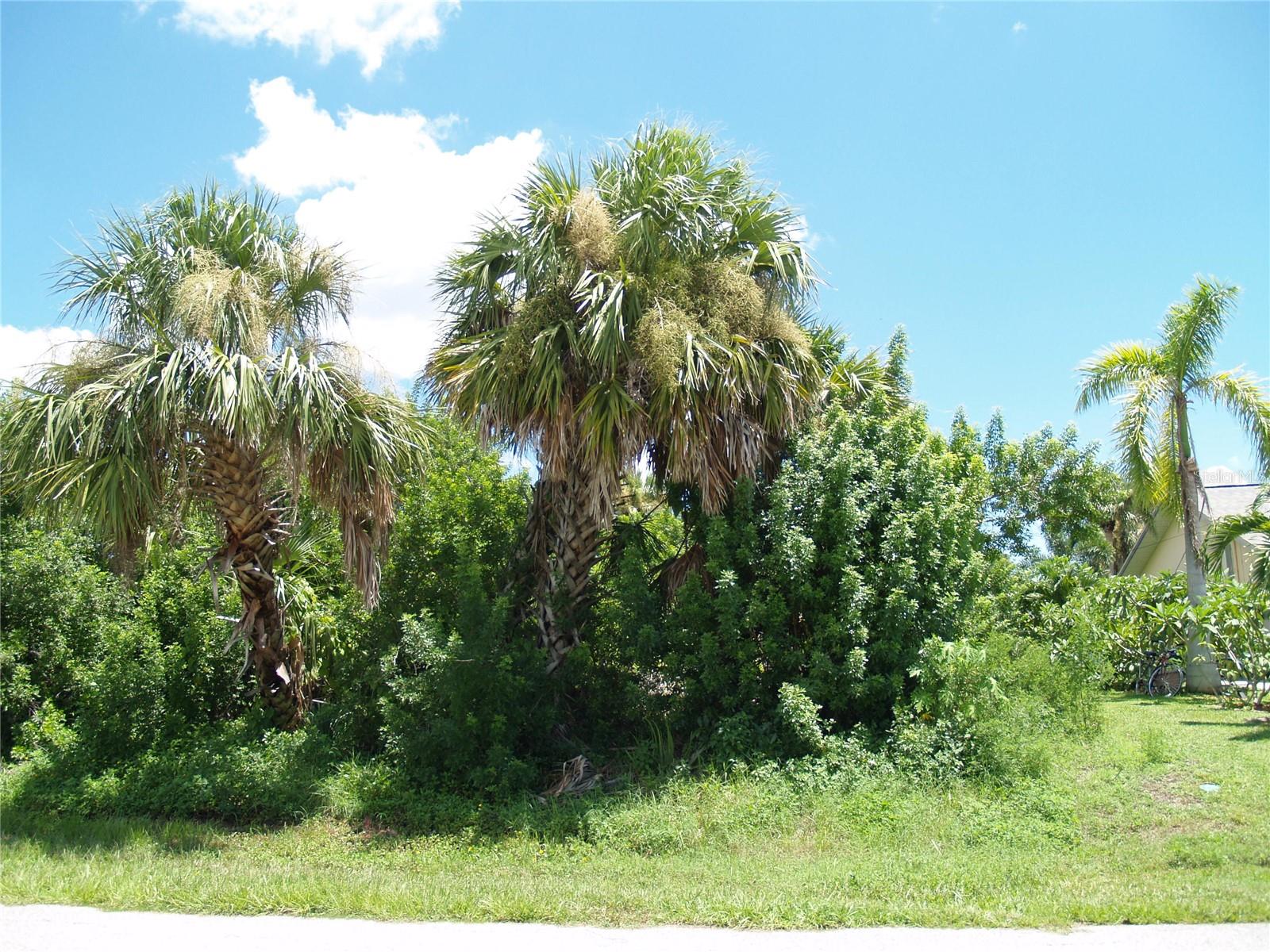 18443 BRIGGS CIR, PORT CHARLOTTE, FL — photo 22