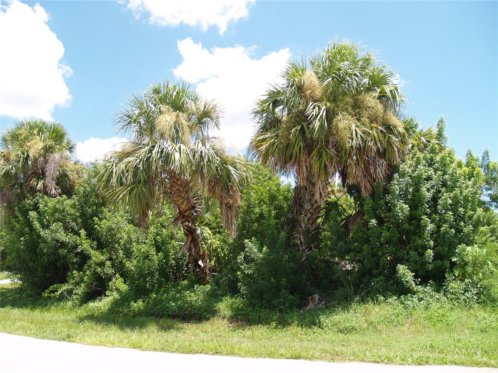 18443 BRIGGS CIR, PORT CHARLOTTE, FL — photo 24