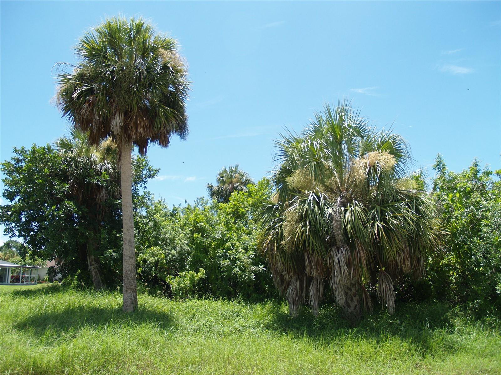 18443 BRIGGS CIR, PORT CHARLOTTE, FL — photo 31