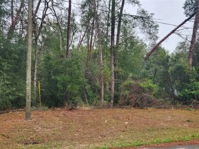 LOCUST COURSE RADL, OCALA, FL
