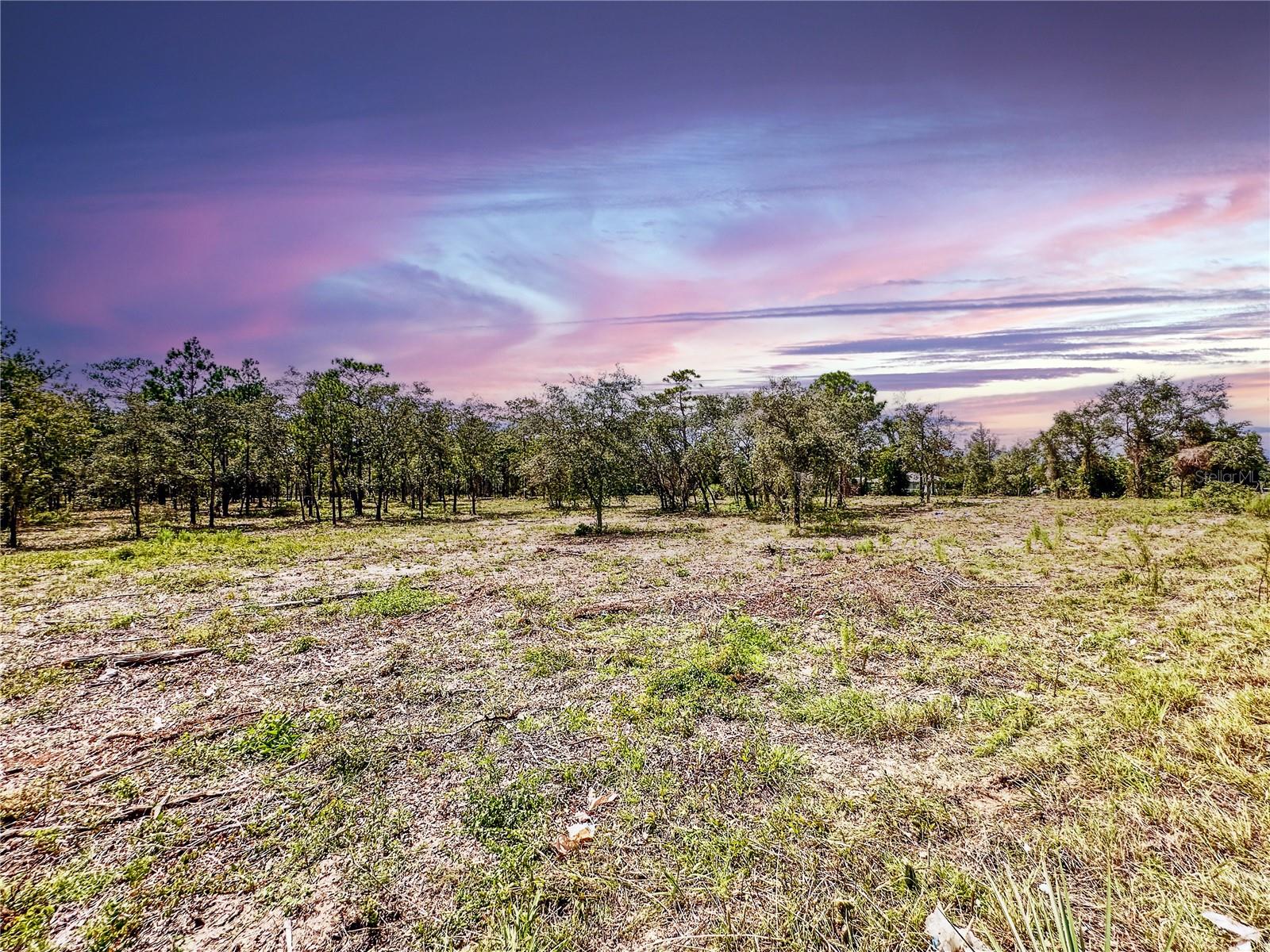 0 SUNSHINE GROVE RD, BROOKSVILLE, FL — photo 15