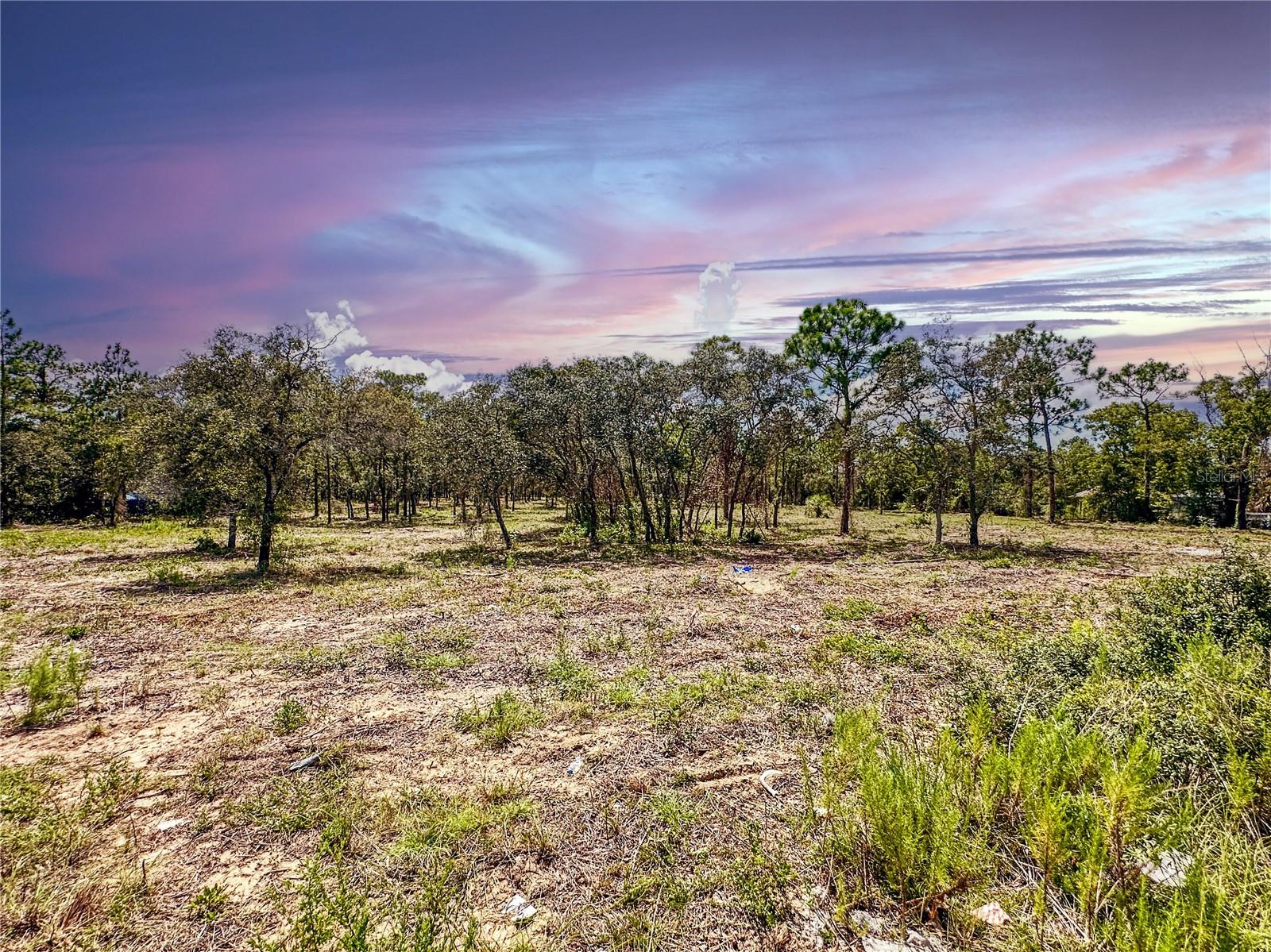 0 SUNSHINE GROVE RD, BROOKSVILLE, FL — photo 17