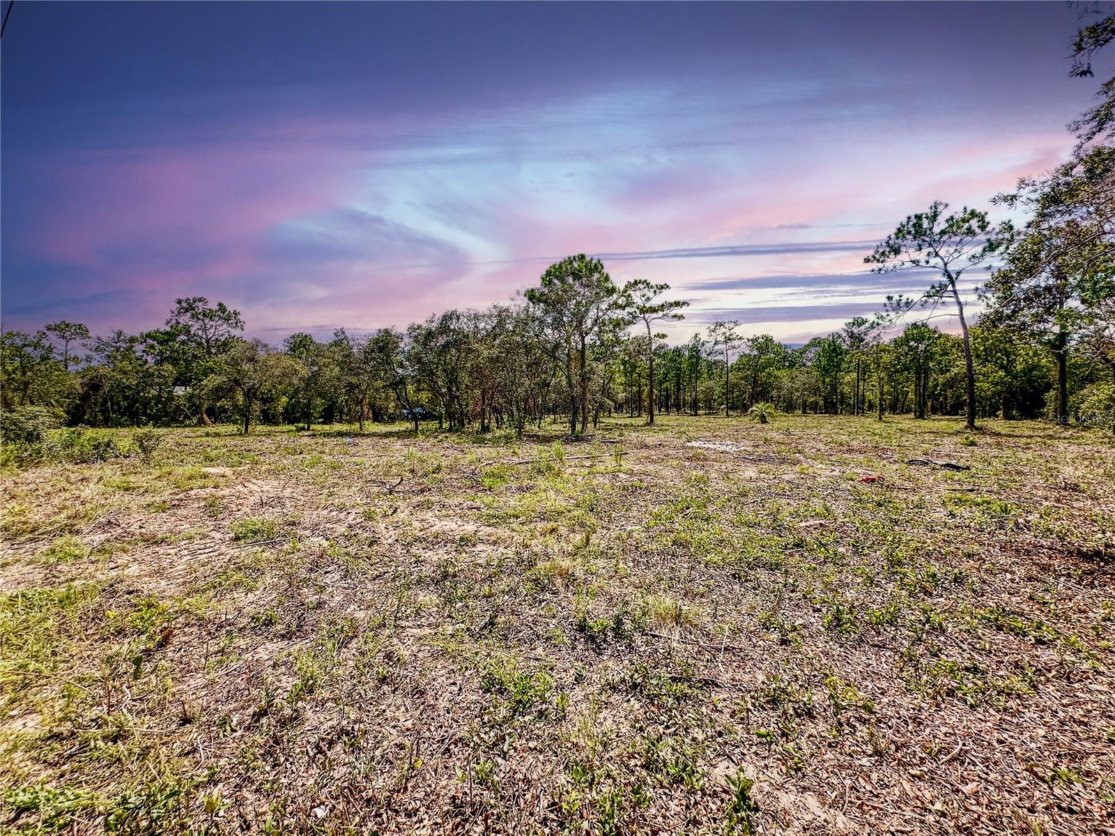 0 SUNSHINE GROVE RD, BROOKSVILLE, FL — photo 20