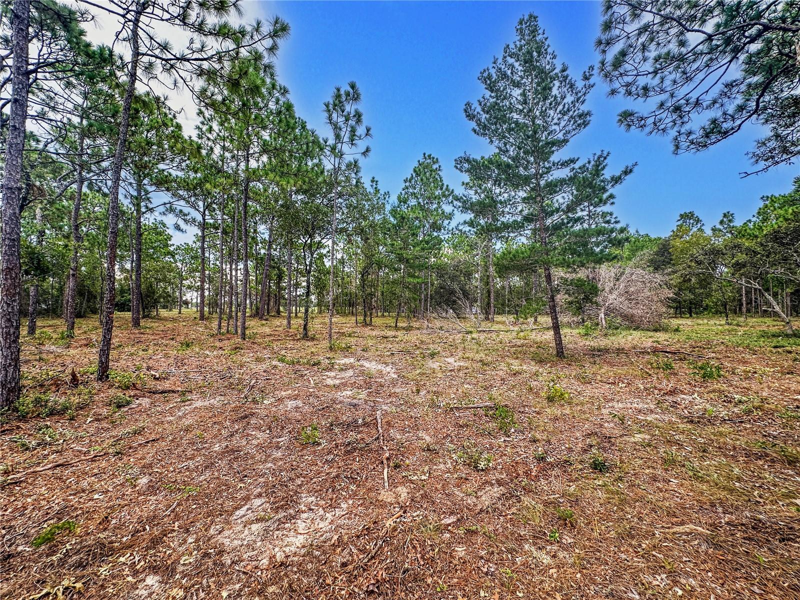 0 SUNSHINE GROVE RD, BROOKSVILLE, FL — photo 21