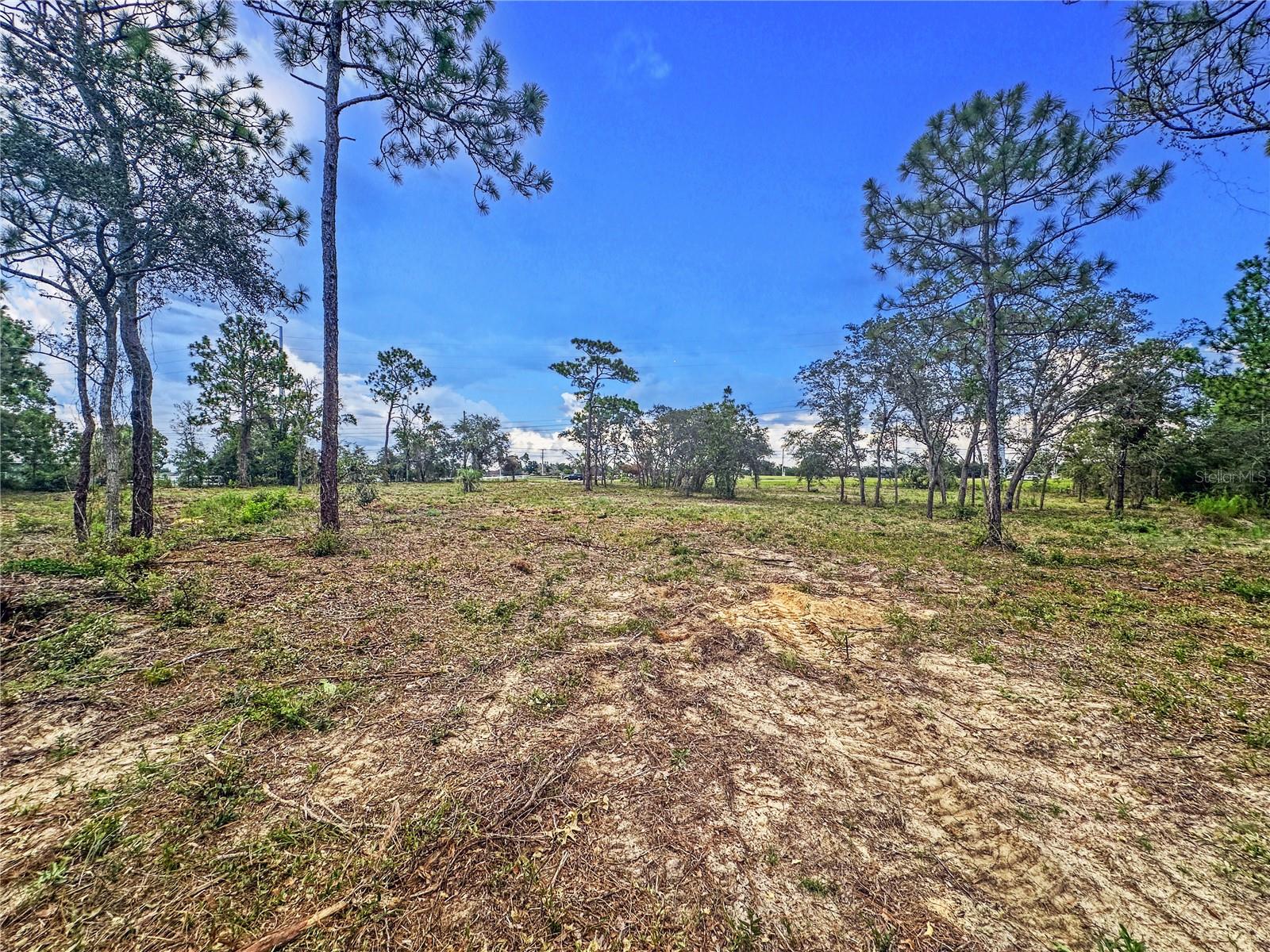 0 SUNSHINE GROVE RD, BROOKSVILLE, FL — photo 26
