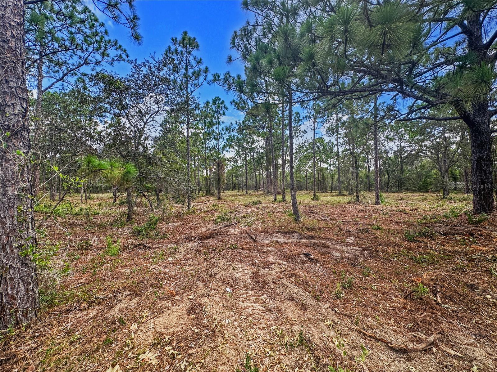 0 SUNSHINE GROVE RD, BROOKSVILLE, FL — photo 27