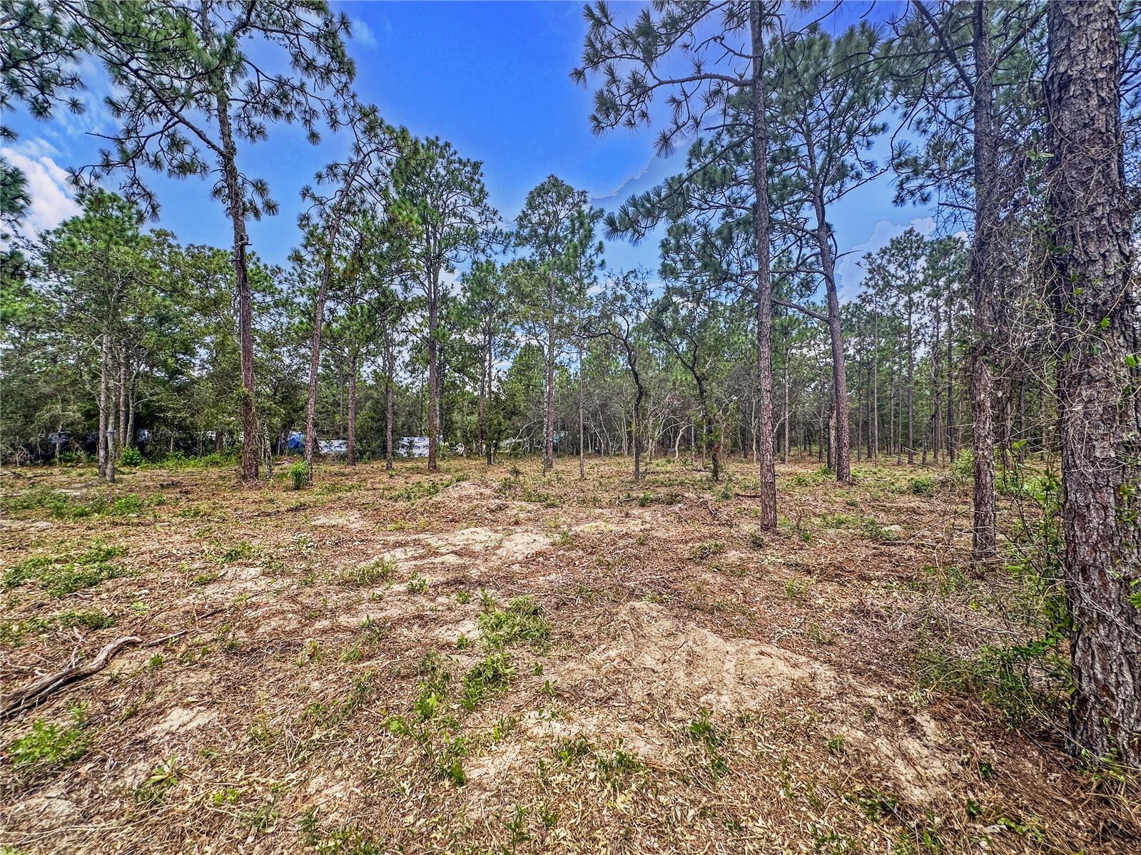 0 SUNSHINE GROVE RD, BROOKSVILLE, FL — photo 30