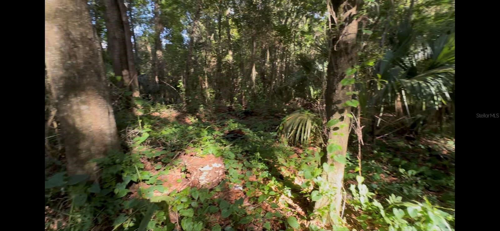 2339 SE HAWTHORNE RD, GAINESVILLE, FL — photo 17