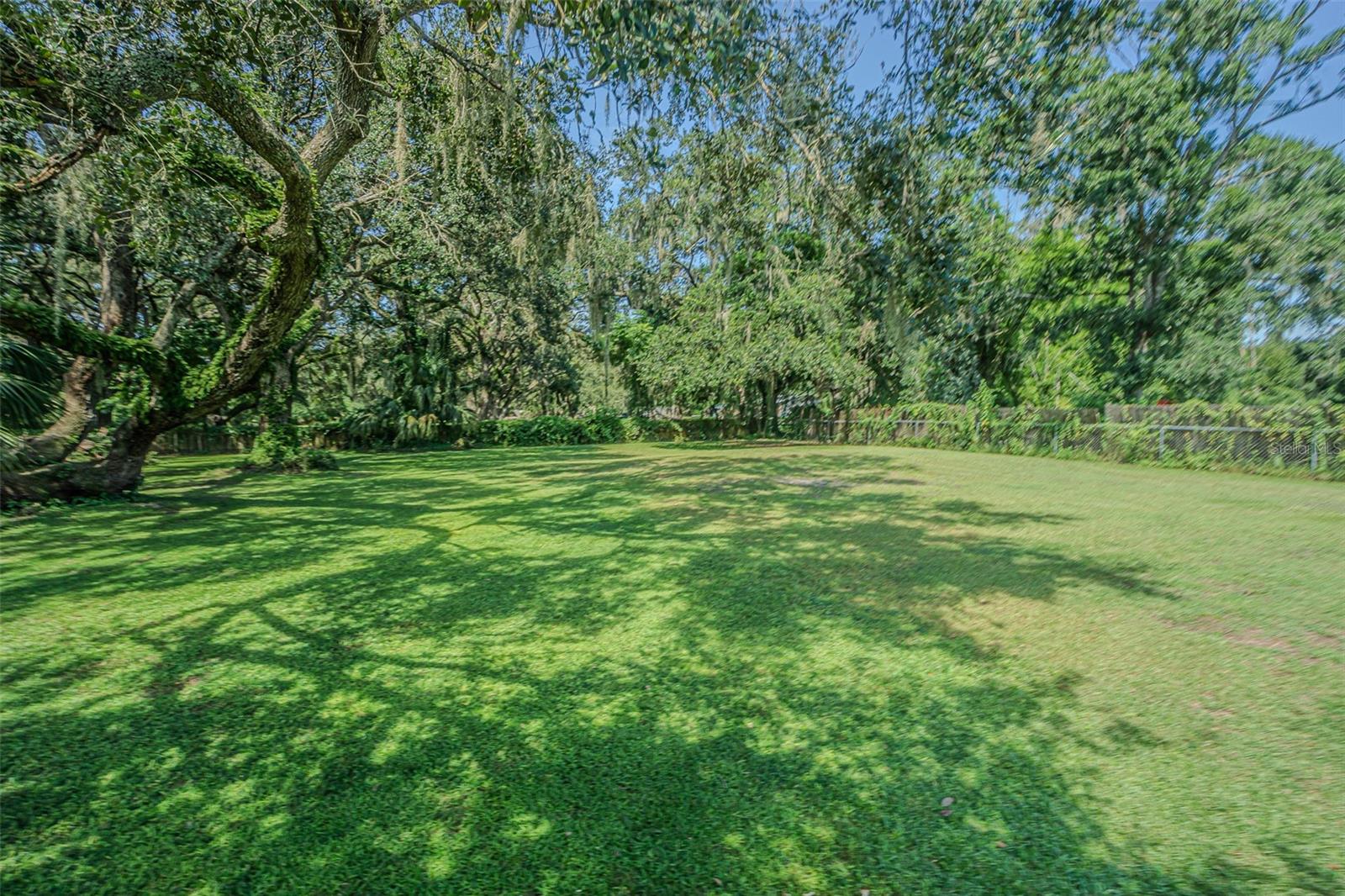 3349 OAKWOOD DR, WESLEY CHAPEL, FL — photo 48