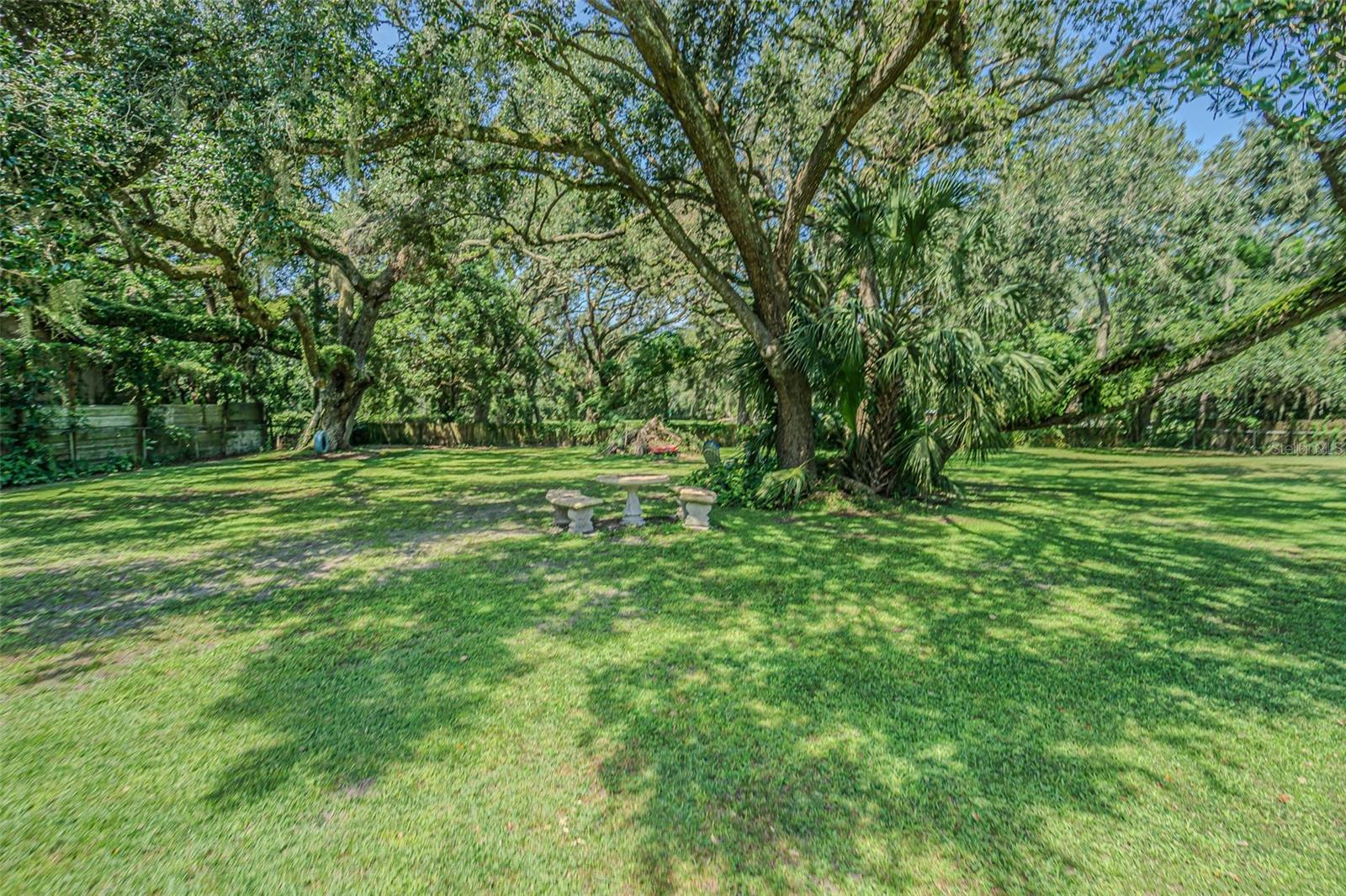 3349 OAKWOOD DR, WESLEY CHAPEL, FL — photo 50