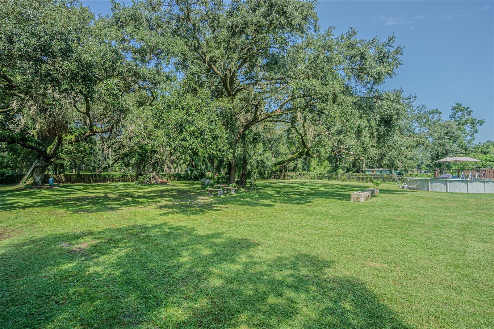 3349 OAKWOOD DR, WESLEY CHAPEL, FL — photo 52