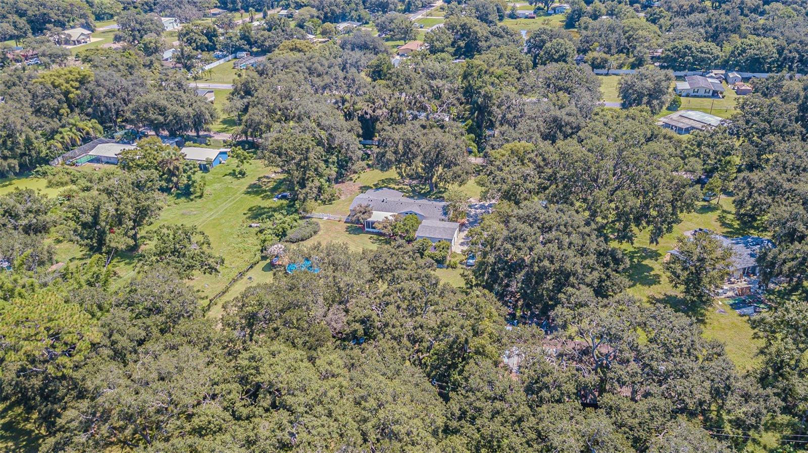 3349 OAKWOOD DR, WESLEY CHAPEL, FL — photo 58