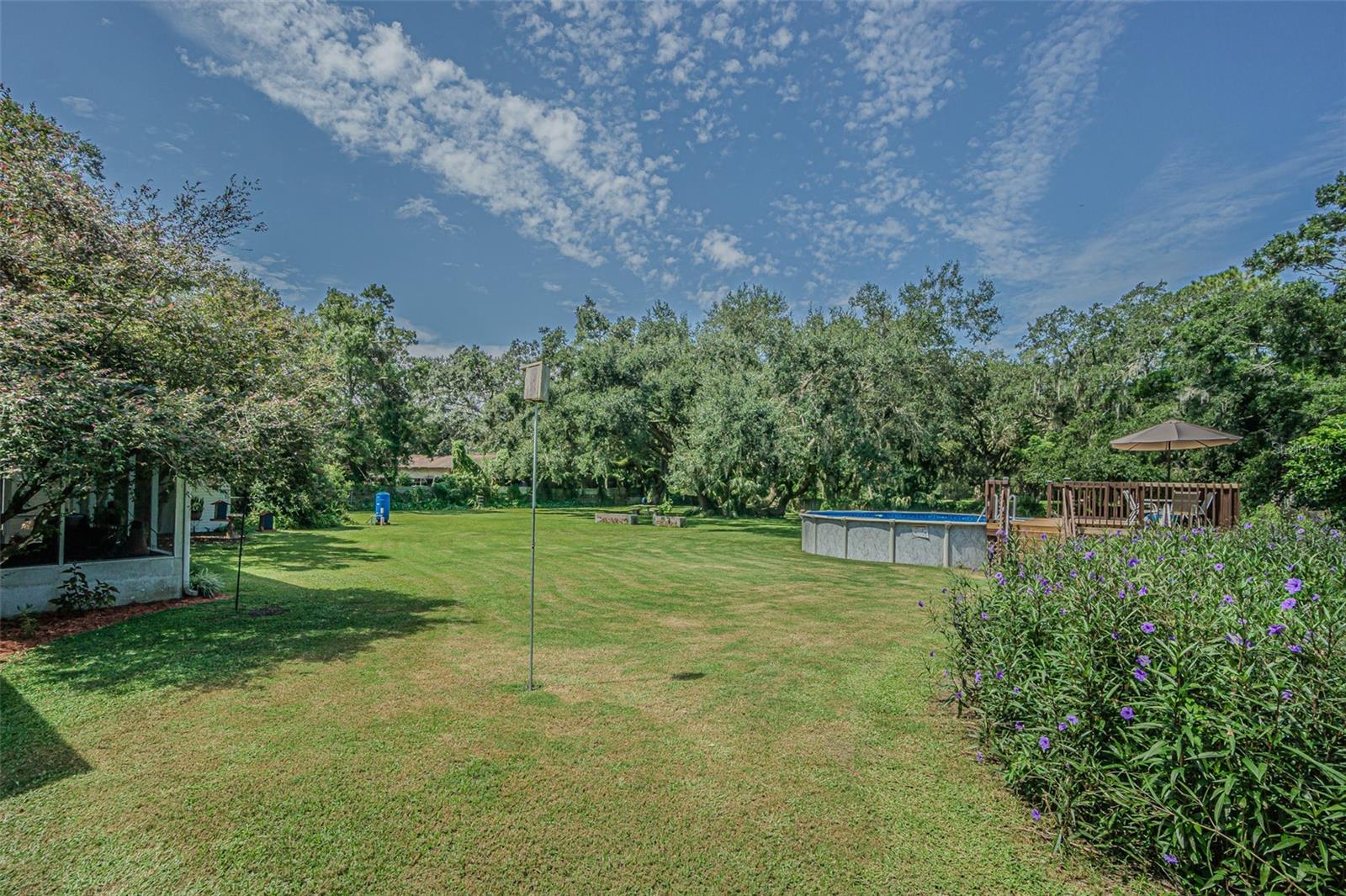 3349 OAKWOOD DR, WESLEY CHAPEL, FL — photo 21