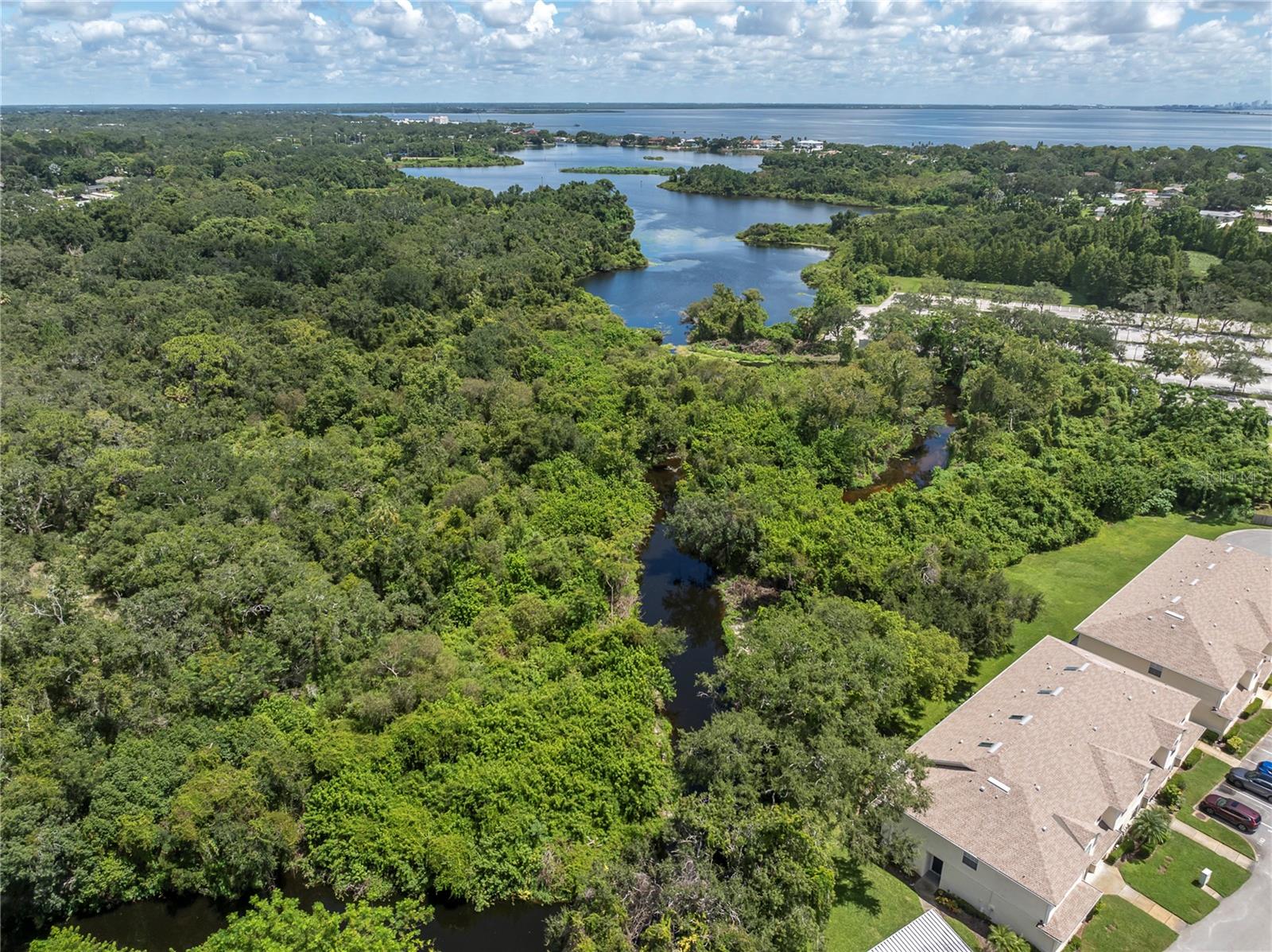 1377 N MCMULLEN BOOTH RD, CLEARWATER, FL — photo 29