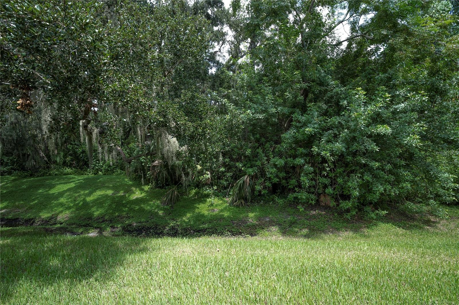 1377 N MCMULLEN BOOTH RD, CLEARWATER, FL — photo 30
