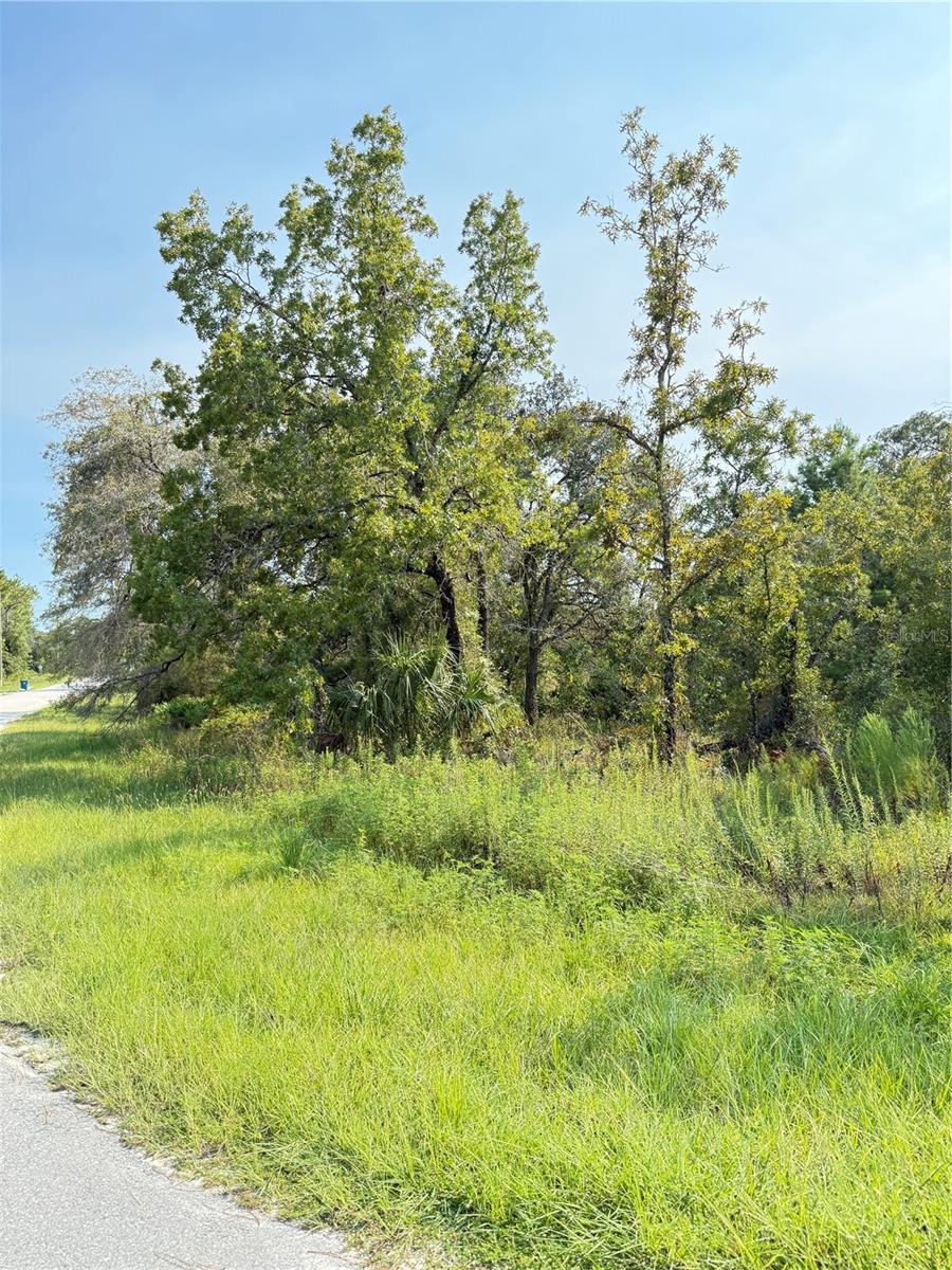 11096 MARSH WREN AVE, WEEKI WACHEE, FL — photo 3