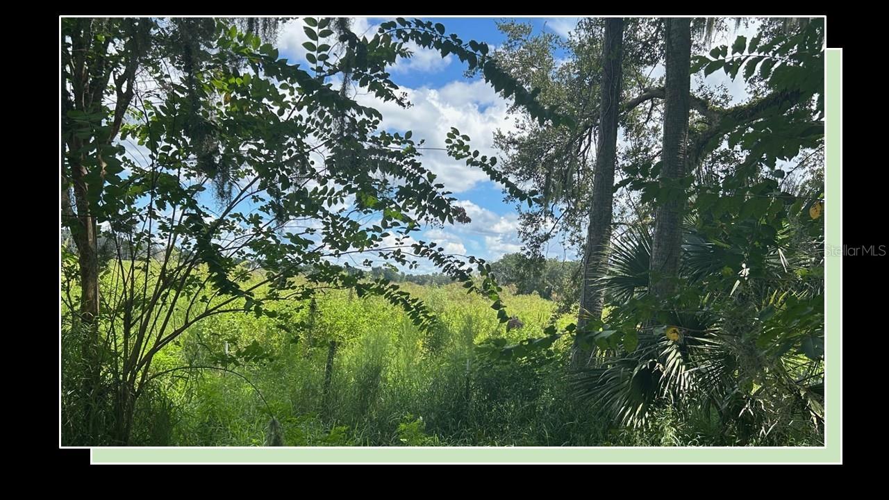 1122 DARITY ST, APOPKA, FL — photo 2