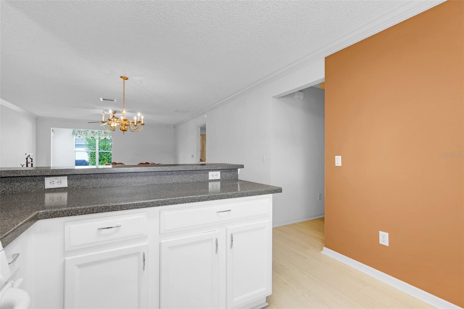 870 HENDERSON LN, THE VILLAGES, FL — photo 17