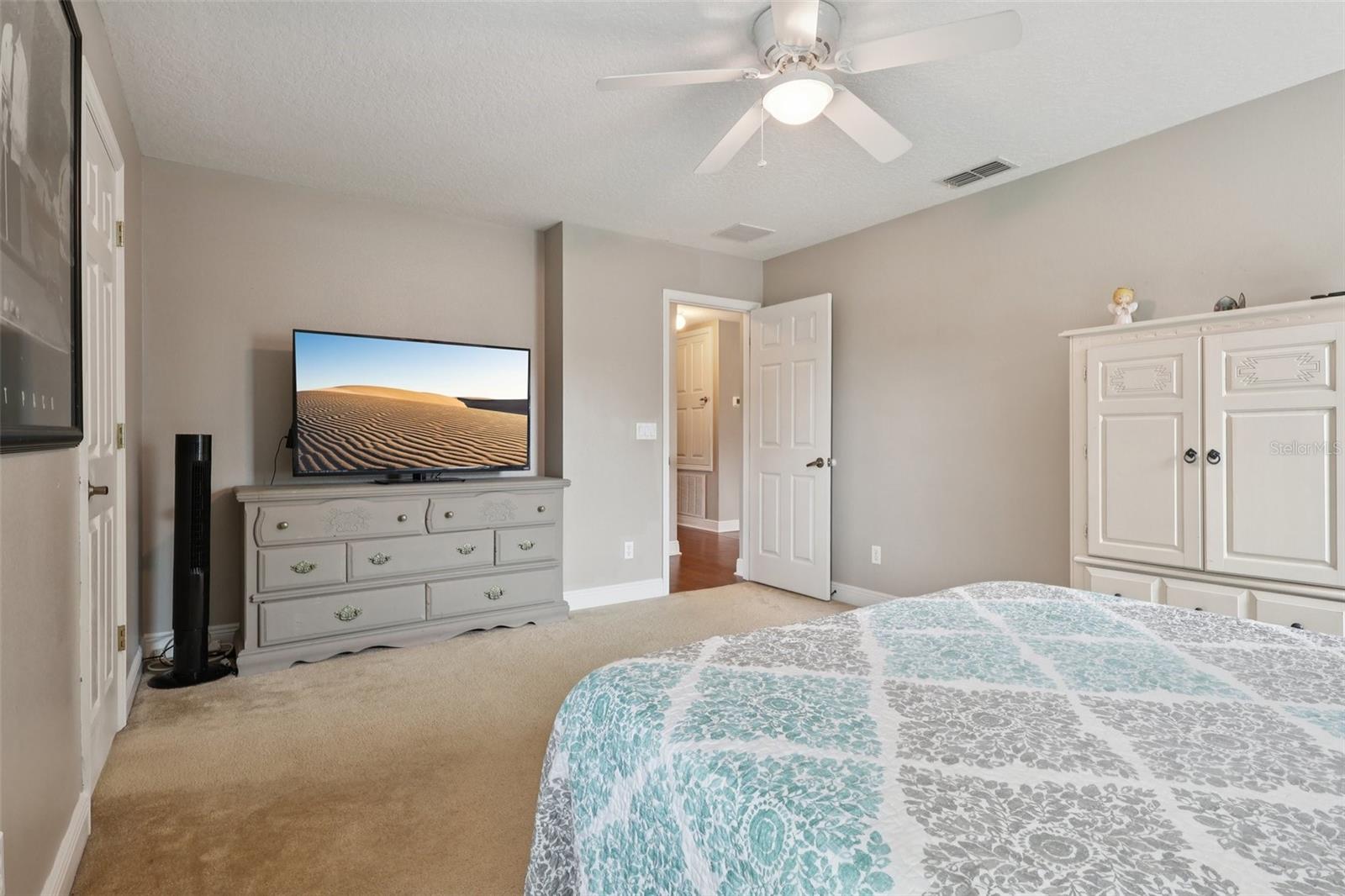 30113 JUTLAND CT, MOUNT DORA, FL — photo 50