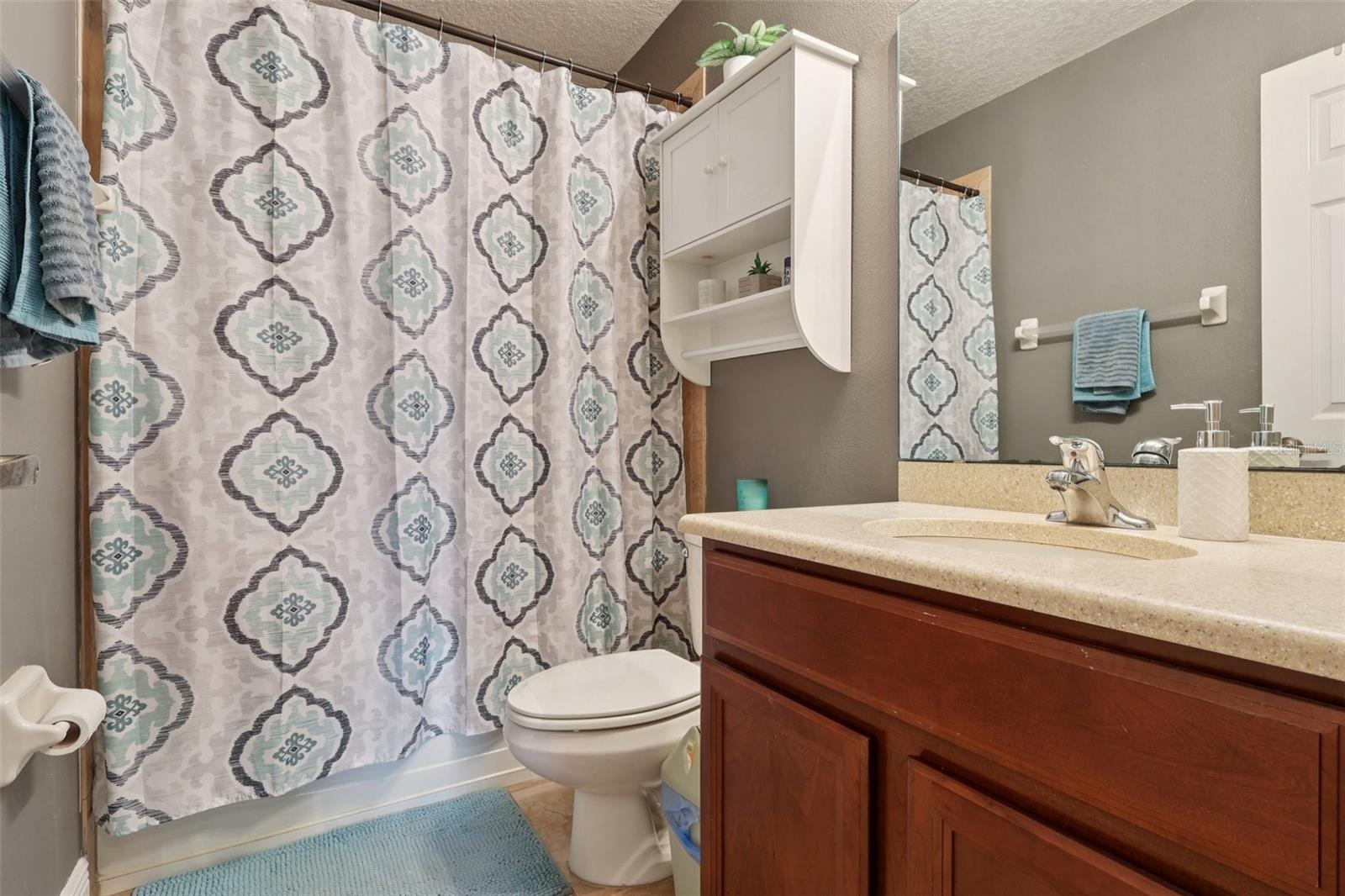 30113 JUTLAND CT, MOUNT DORA, FL — photo 55