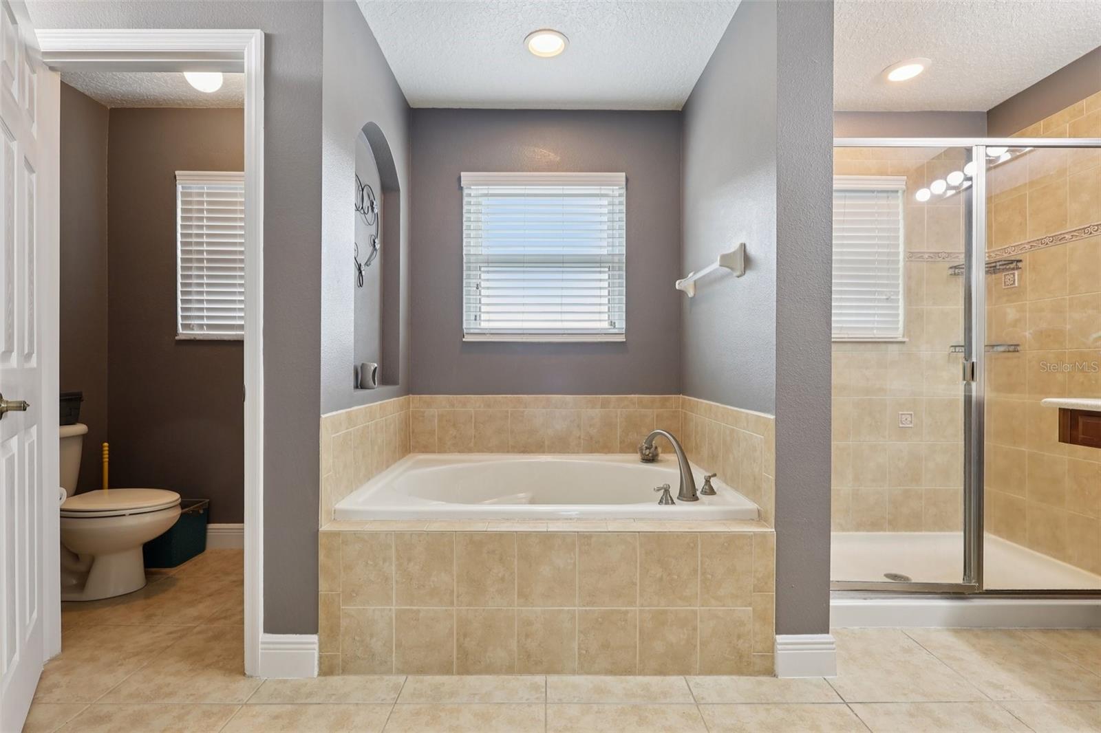 30113 JUTLAND CT, MOUNT DORA, FL — photo 63