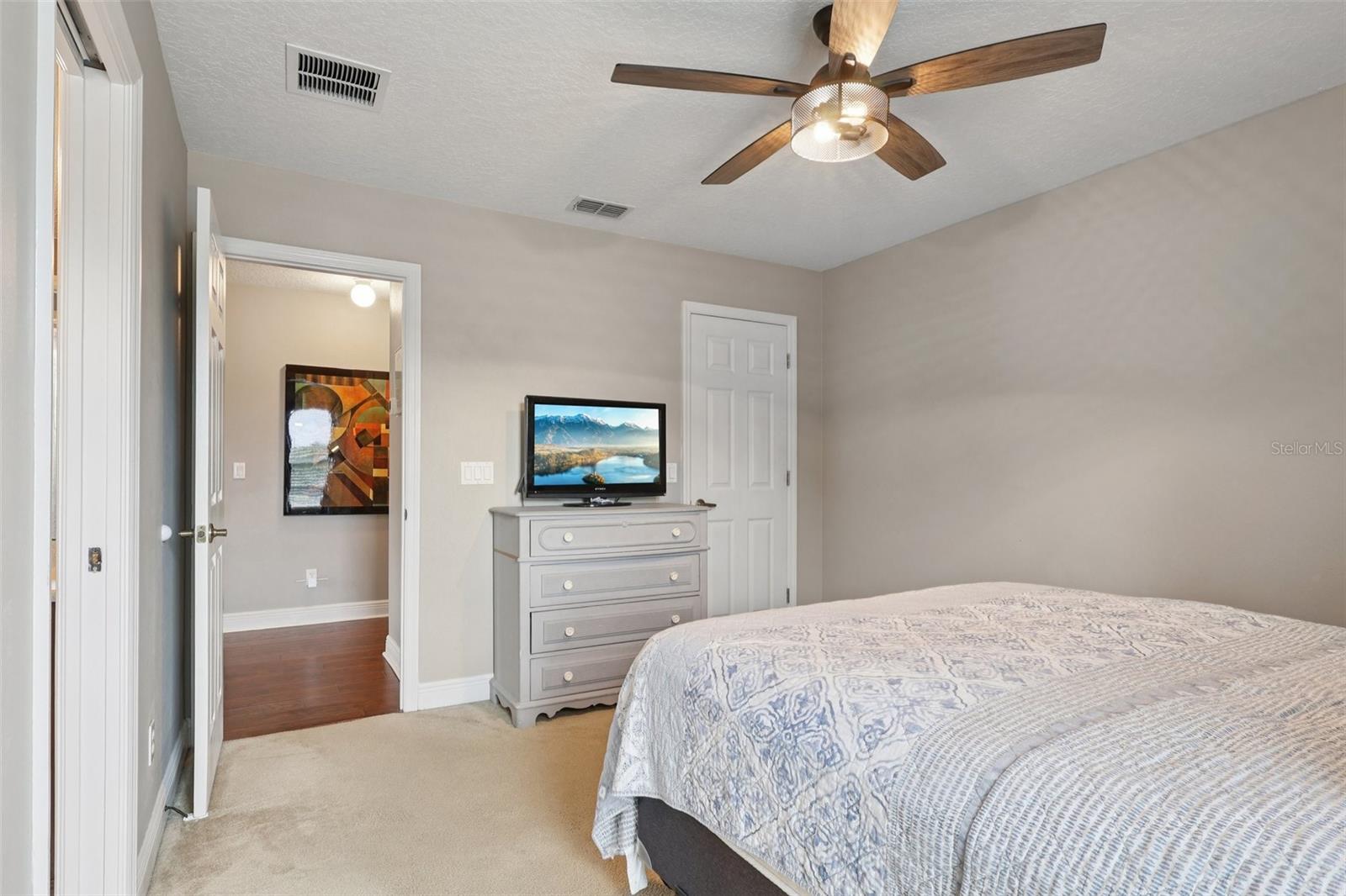30113 JUTLAND CT, MOUNT DORA, FL — photo 70