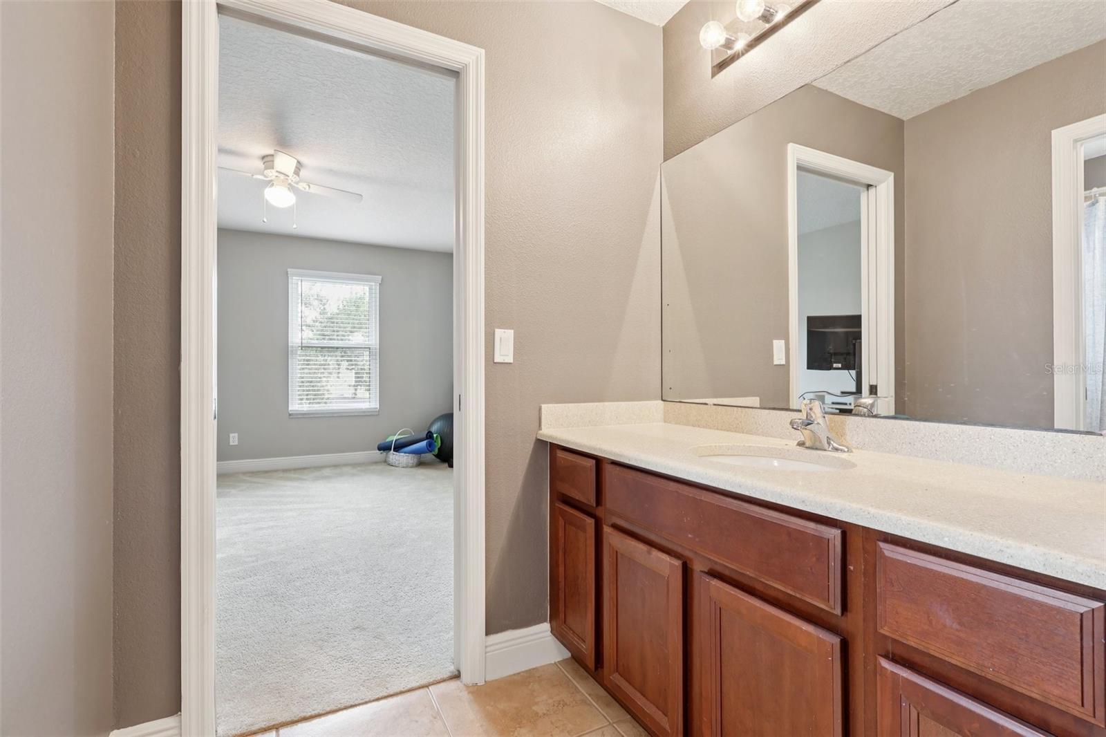 30113 JUTLAND CT, MOUNT DORA, FL — photo 71