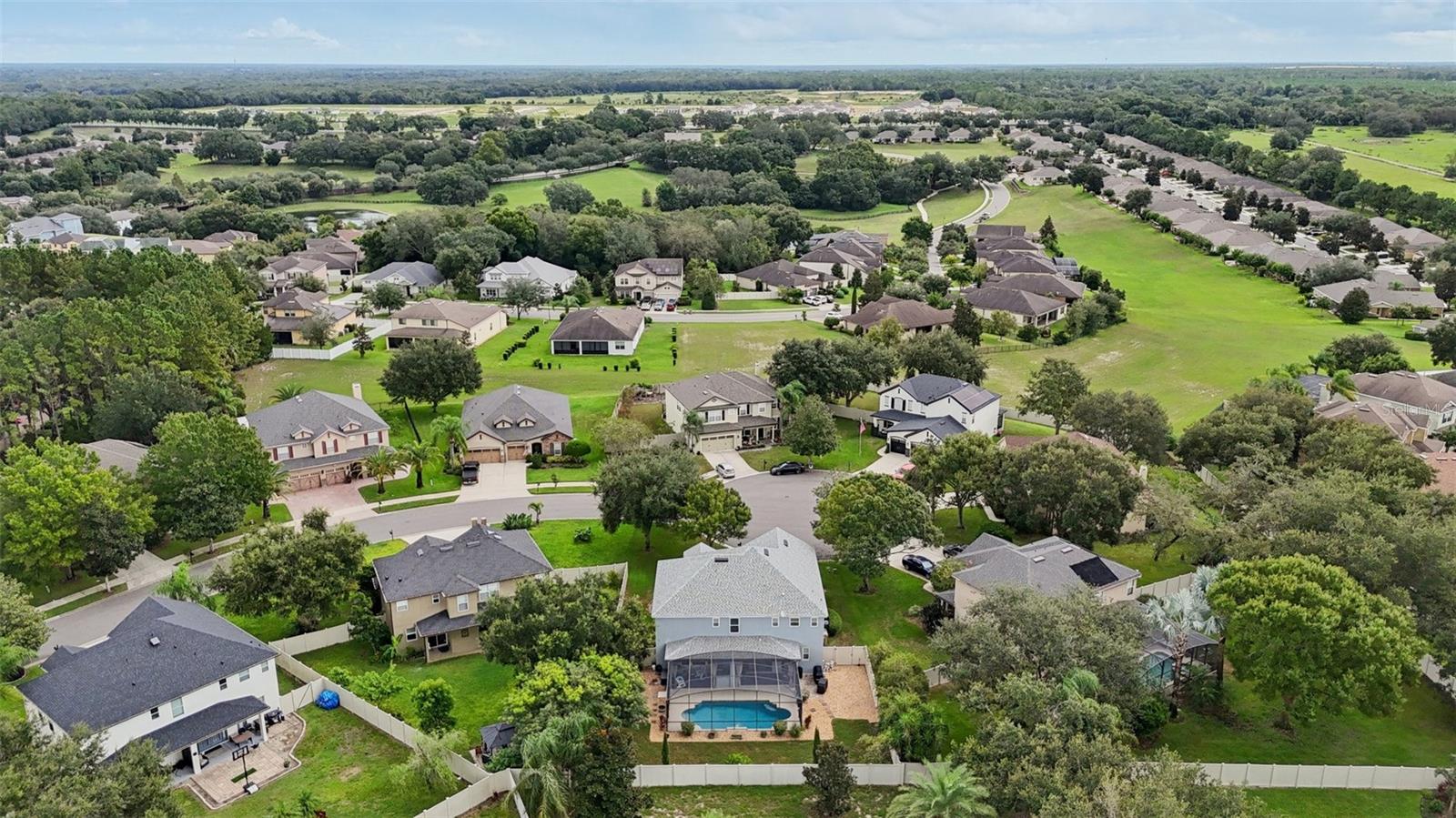 30113 JUTLAND CT, MOUNT DORA, FL — photo 107