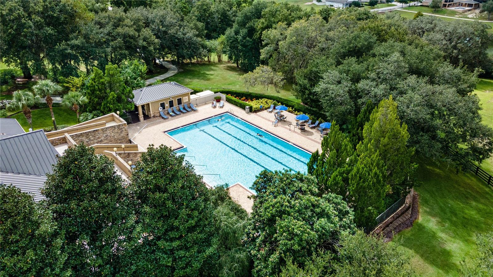30113 JUTLAND CT, MOUNT DORA, FL — photo 125