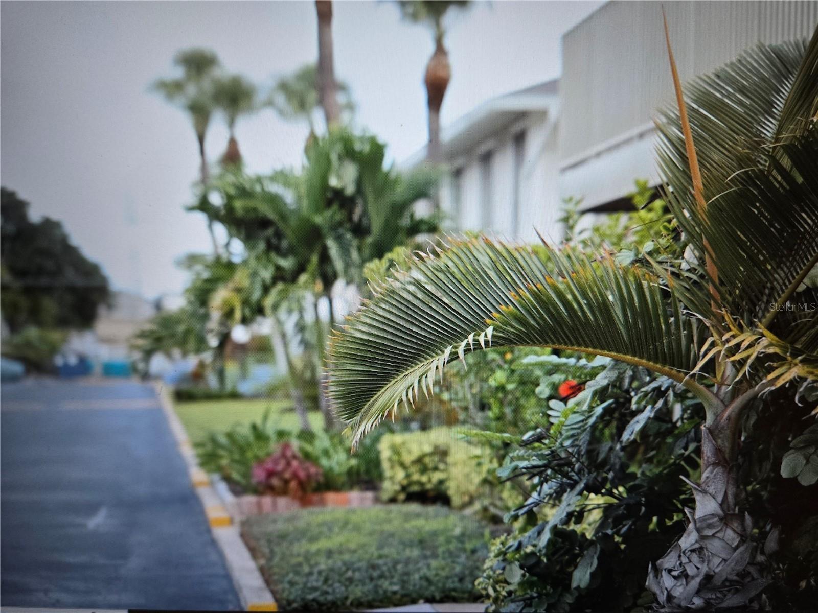 1935 CONWAY DR #05, ORLANDO, FL — photo 13