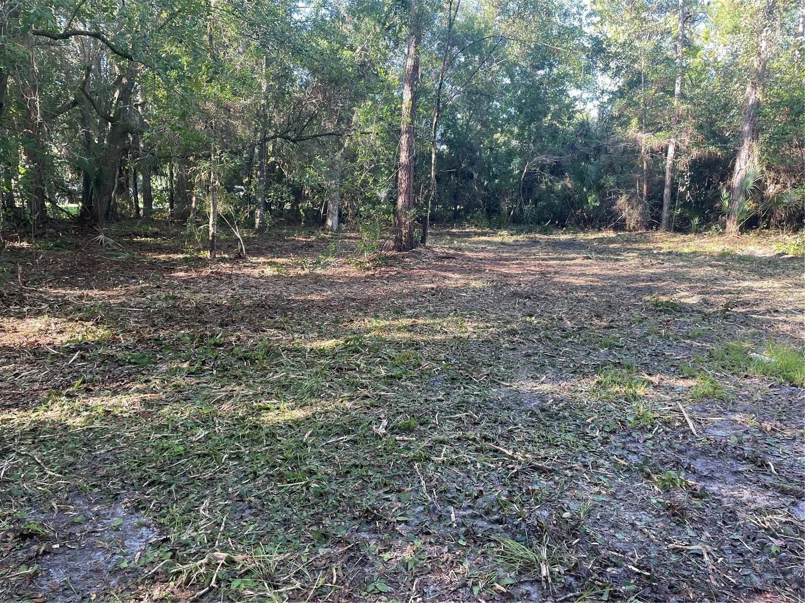 3165 STEWART BLVD, KISSIMMEE, FL — photo 3
