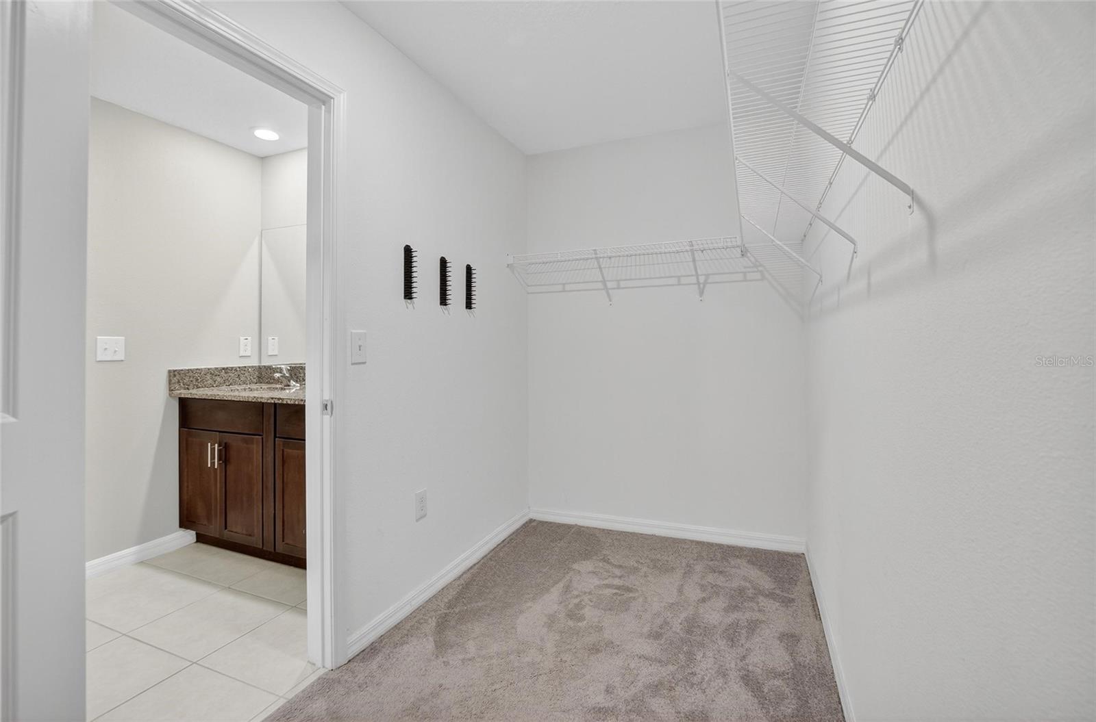 12788 MAPLE BONSAI DR, RIVERVIEW, FL — photo 23