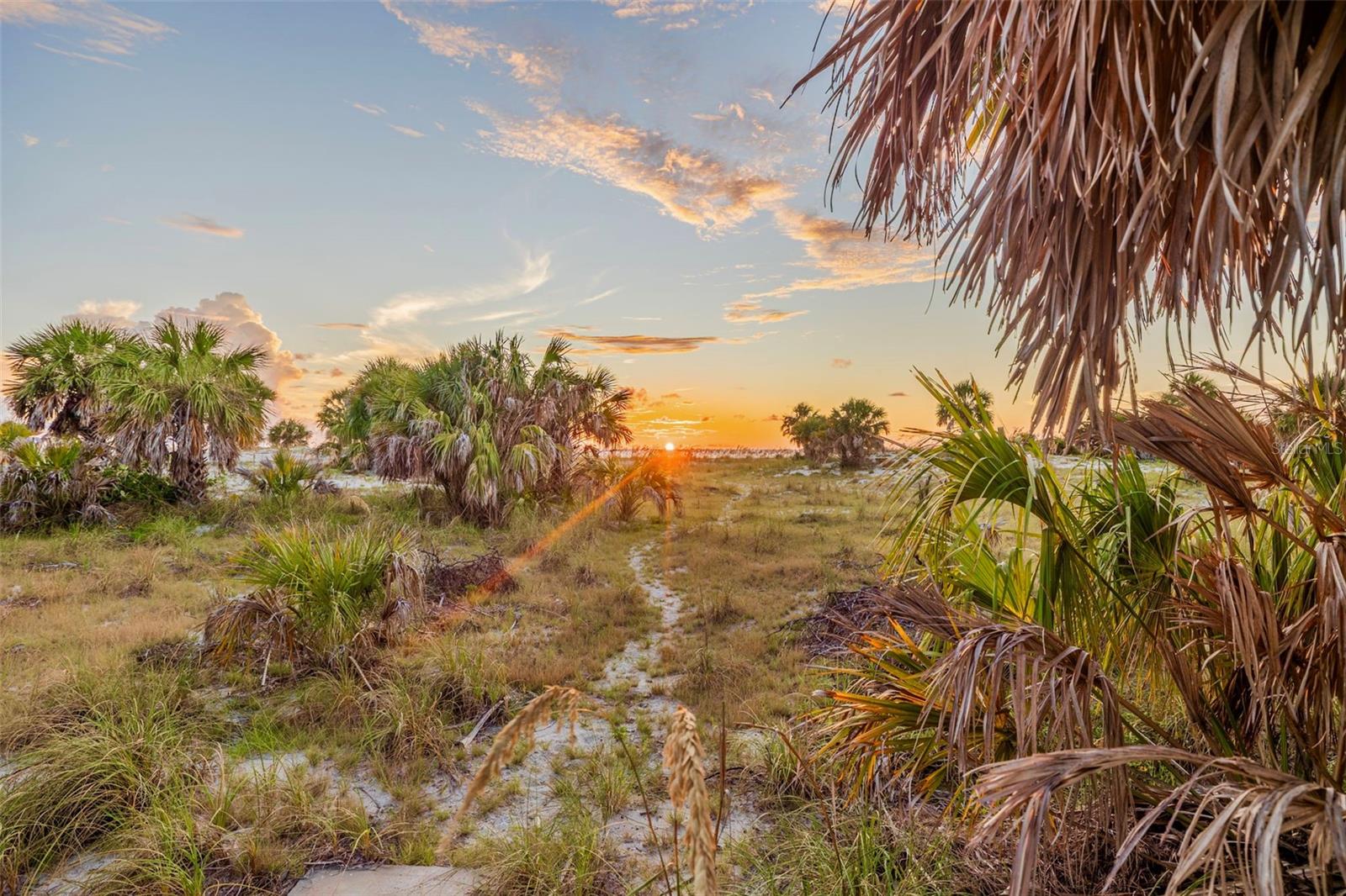 1024 ELDORADO AVE, CLEARWATER BEACH, FL — photo 5