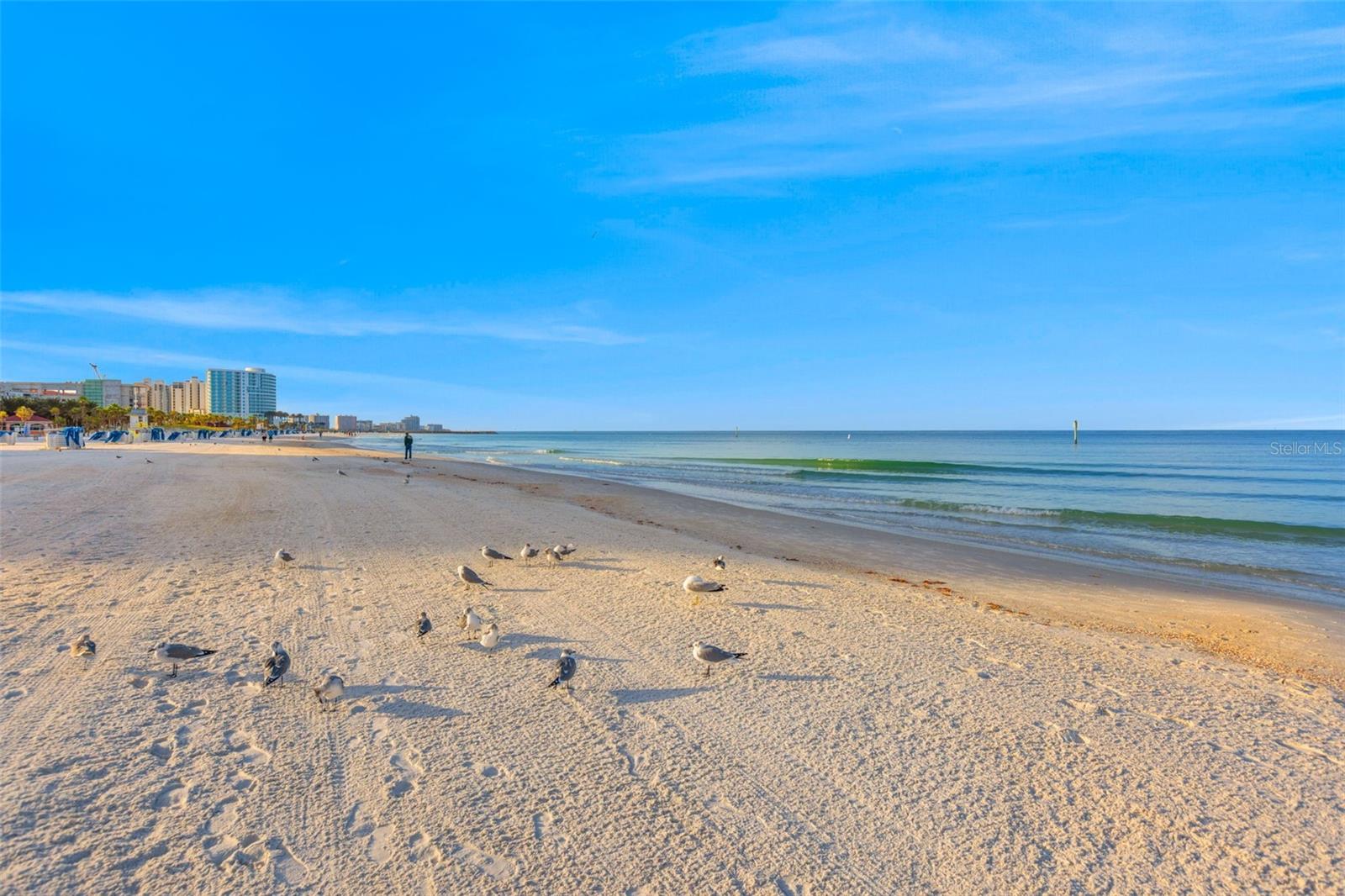 1024 ELDORADO AVE, CLEARWATER BEACH, FL — photo 14