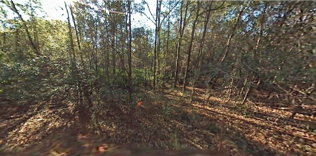 SW 29TH ST, OCALA, FL