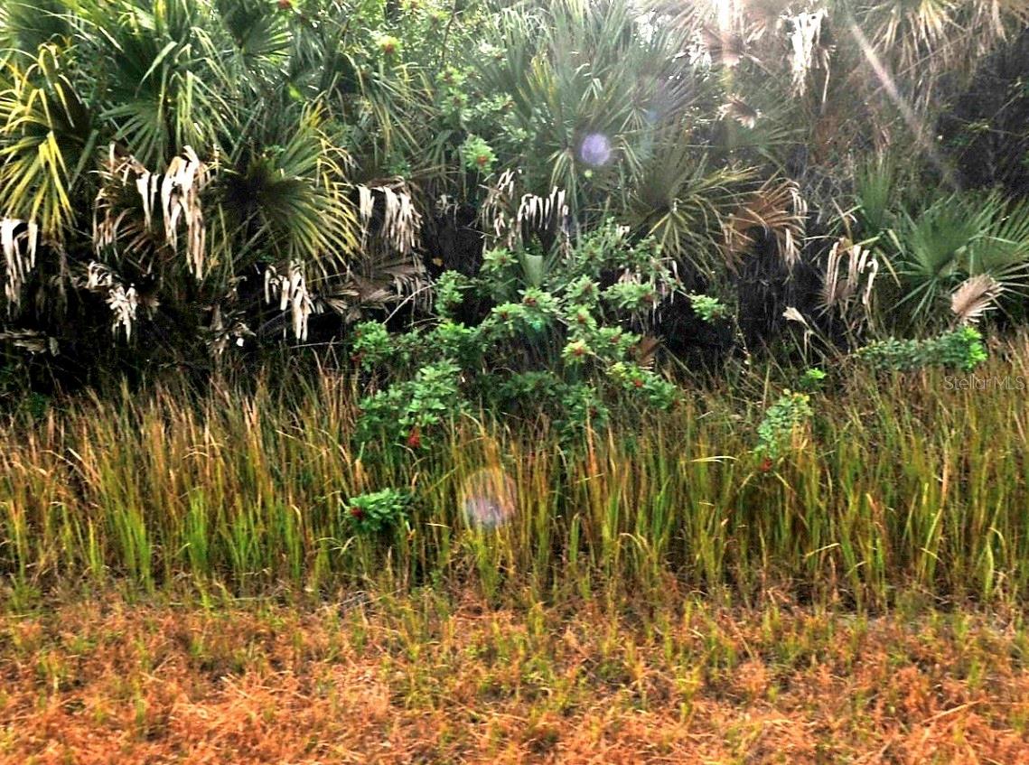 SERNICE ST, NORTH PORT, FL